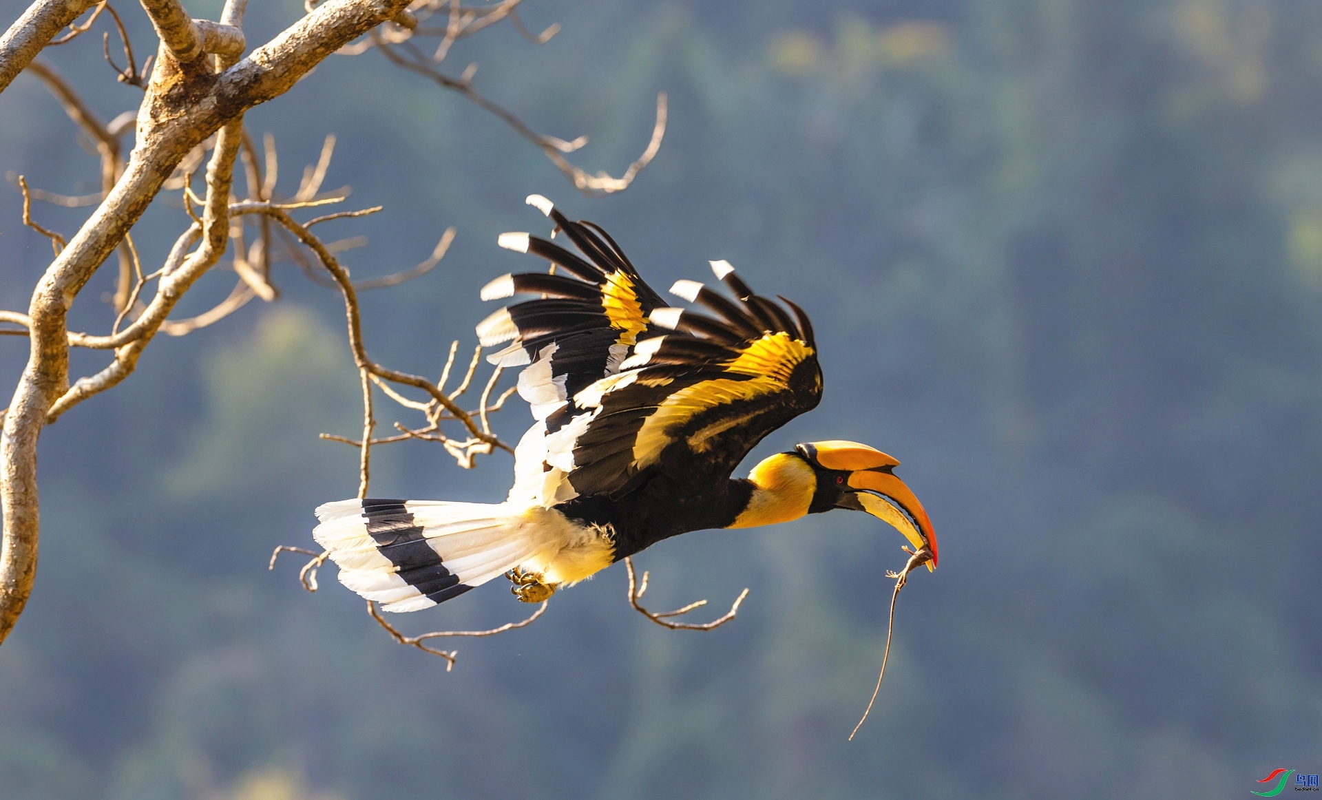 �ջ� ���� ����ʽ ����.jpg