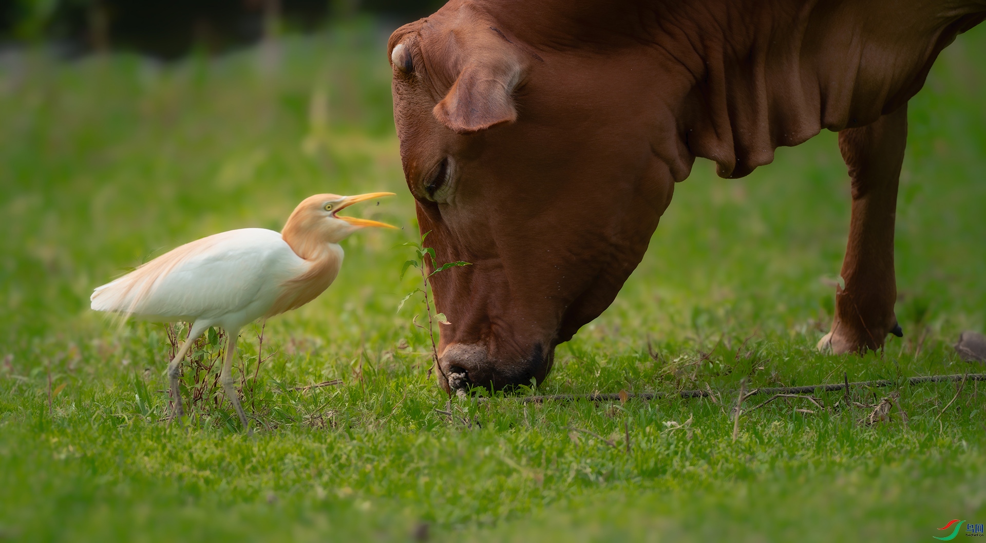 _DSC8092-����ǿ-NR ����.jpg