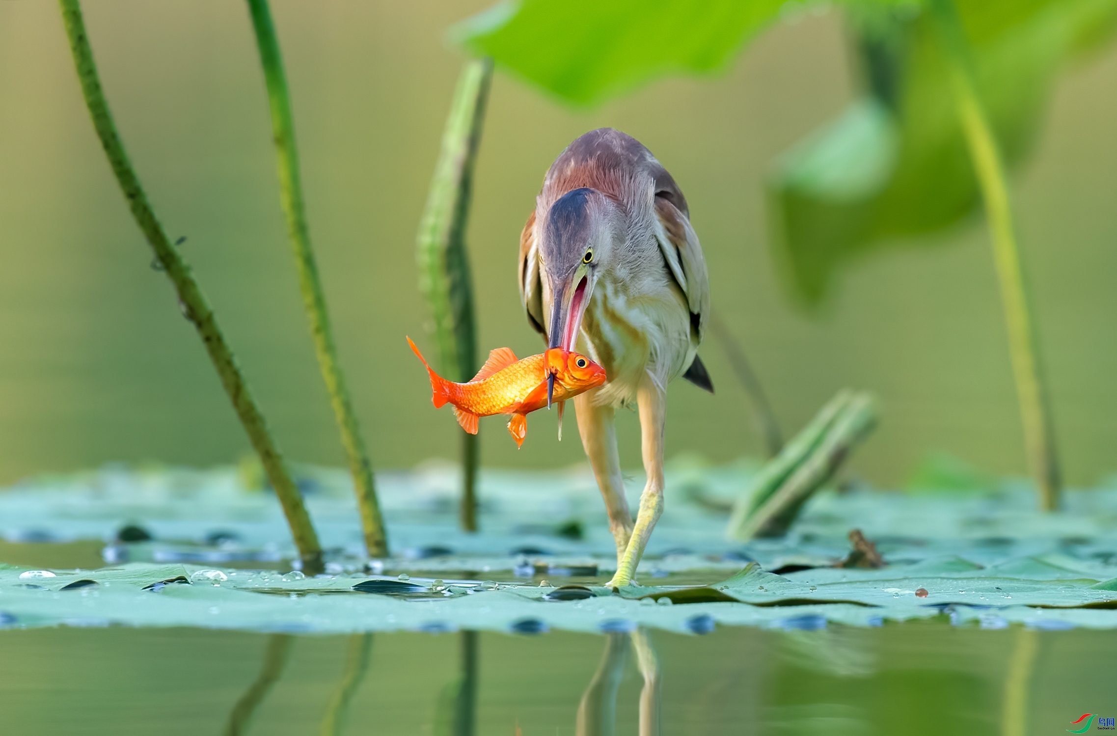 ����罣 ���� һ·���� ����.jpg