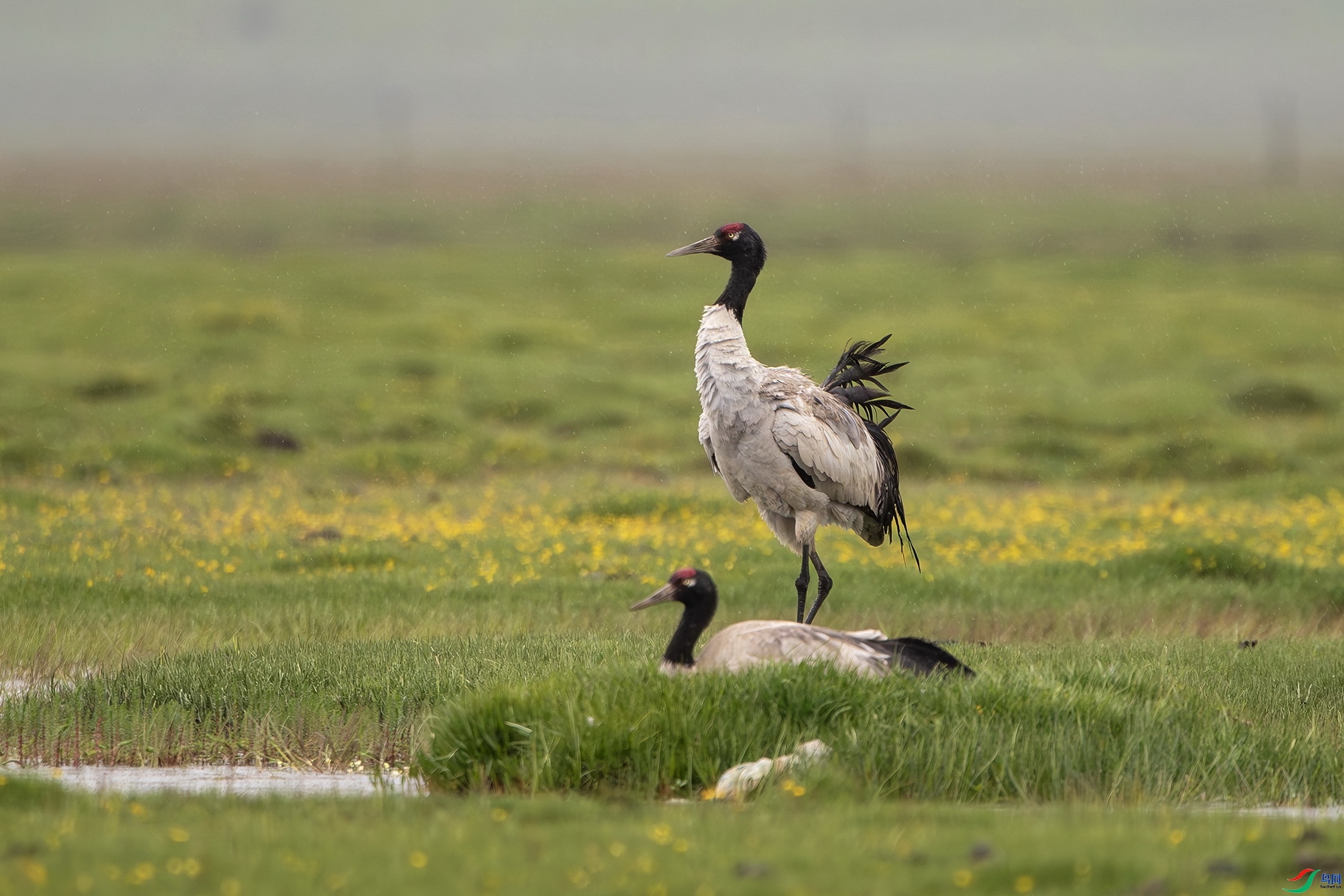 �ػ� ���� ��ʯ ����.jpg