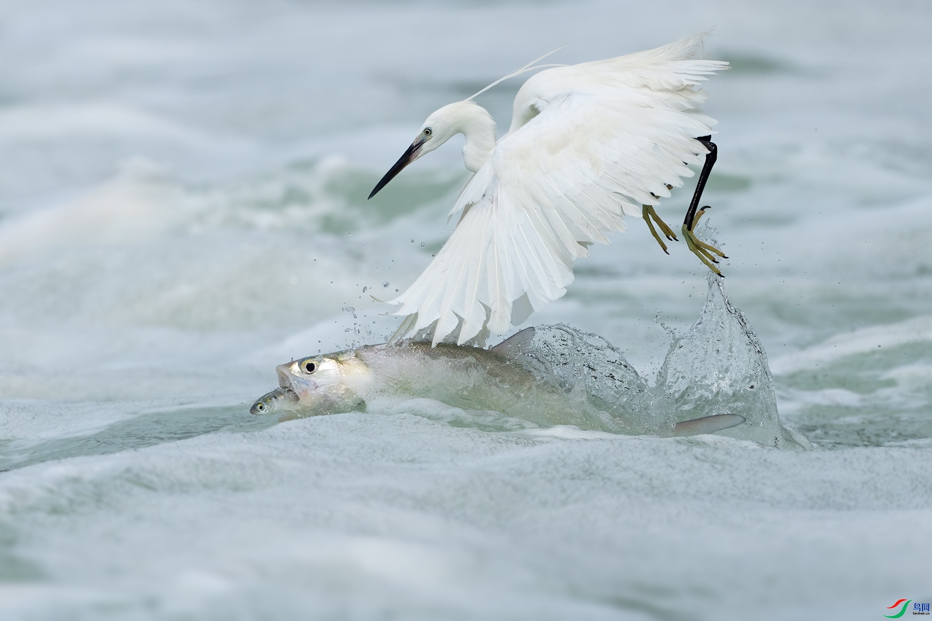 �������  ���� ���ž��� ����.jpg