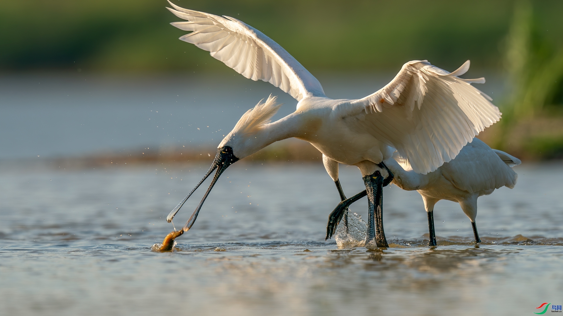 ��Ų��� ���� �������� ����.jpg