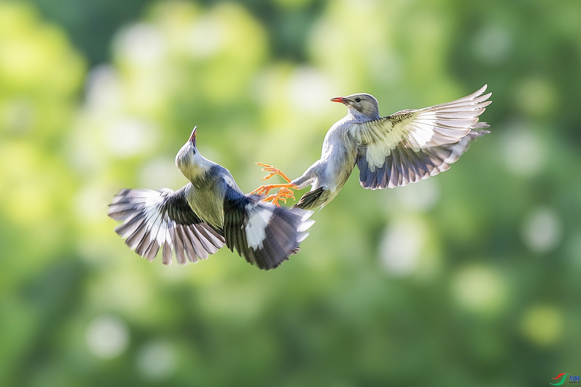 ǣ�� ���� ׾�� ����.jpg