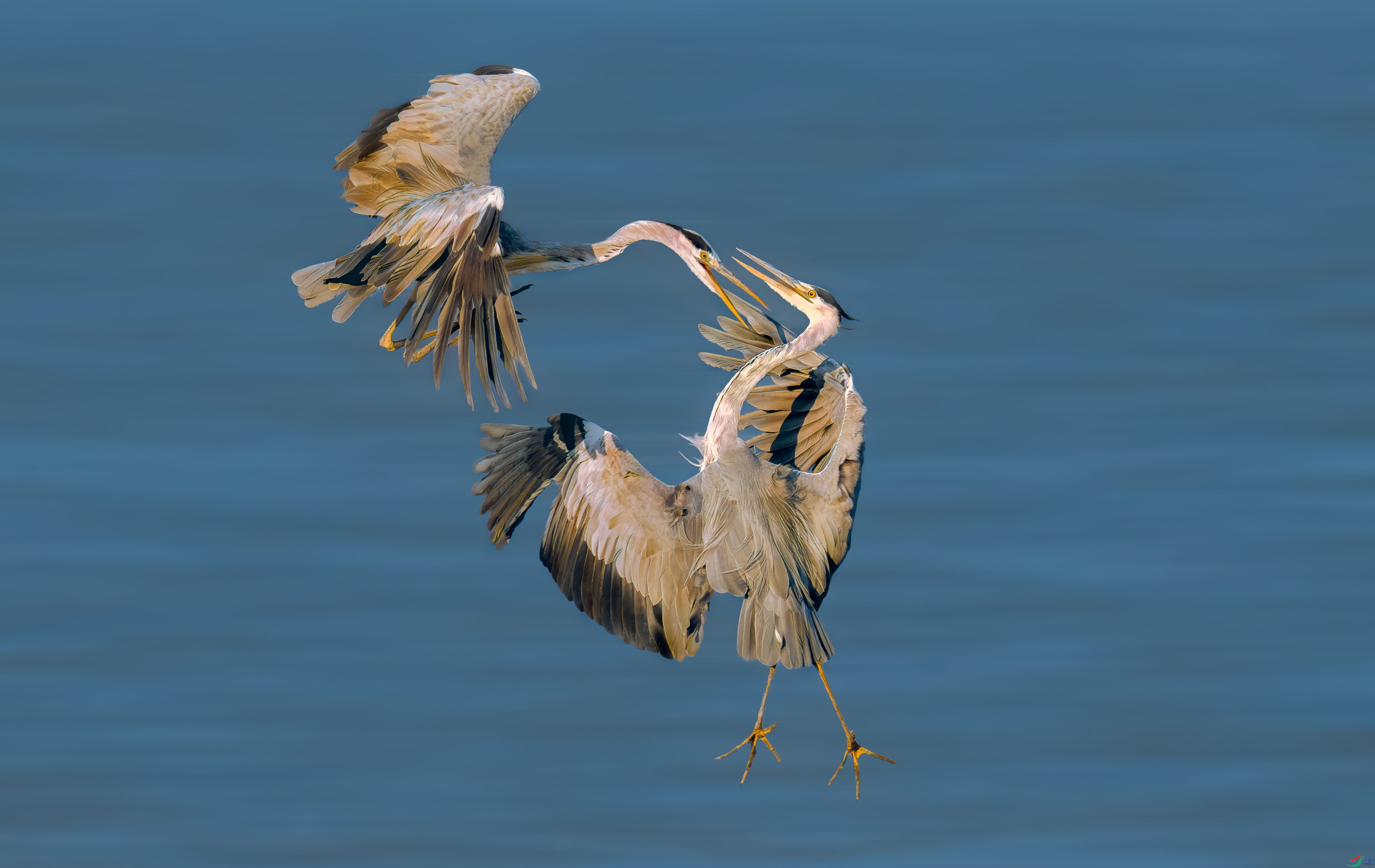 ���� ���� 춼ͷ� ����.jpg