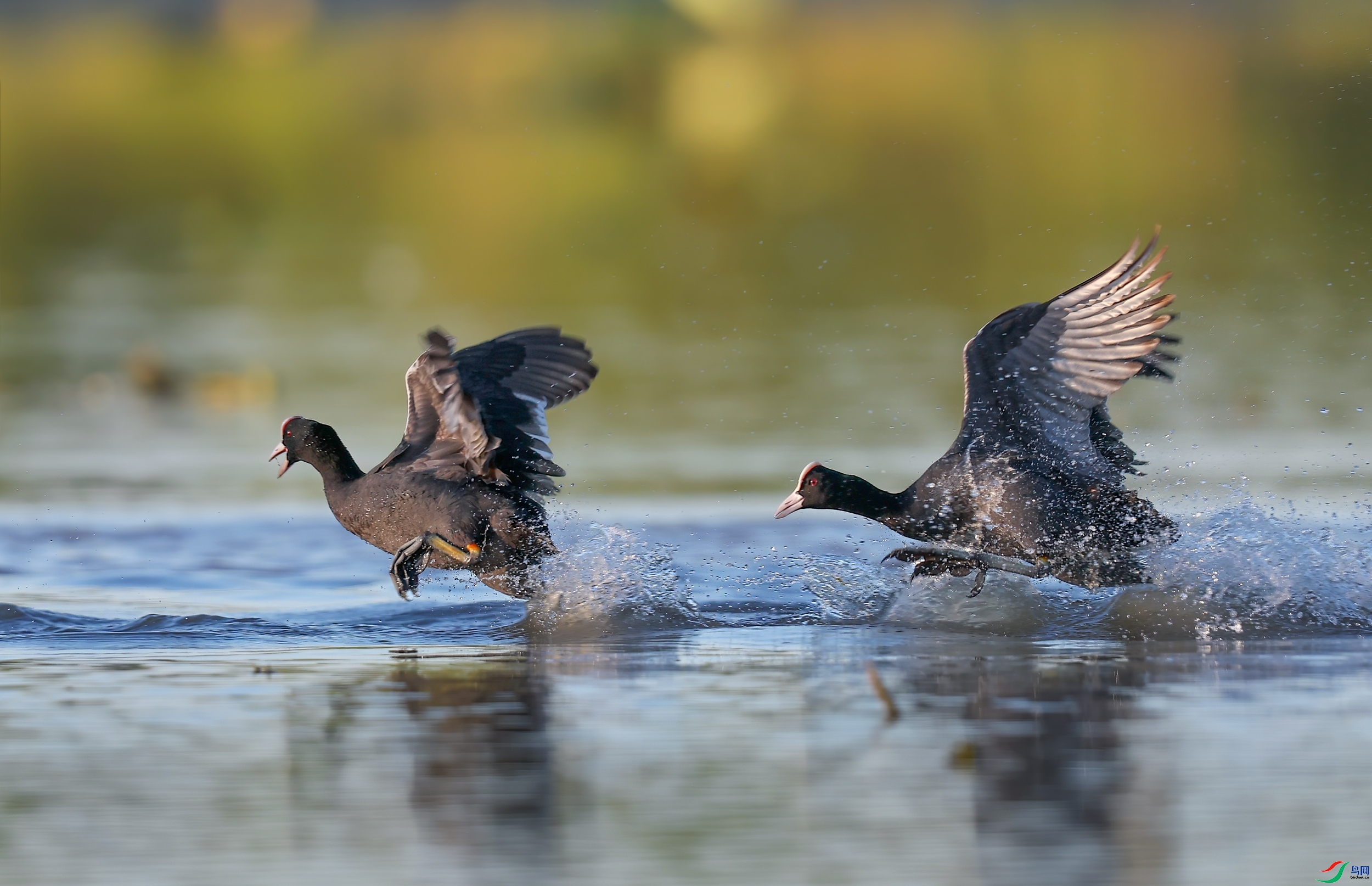 ��ʤ׷�� ����  һ·���� ����.jpg