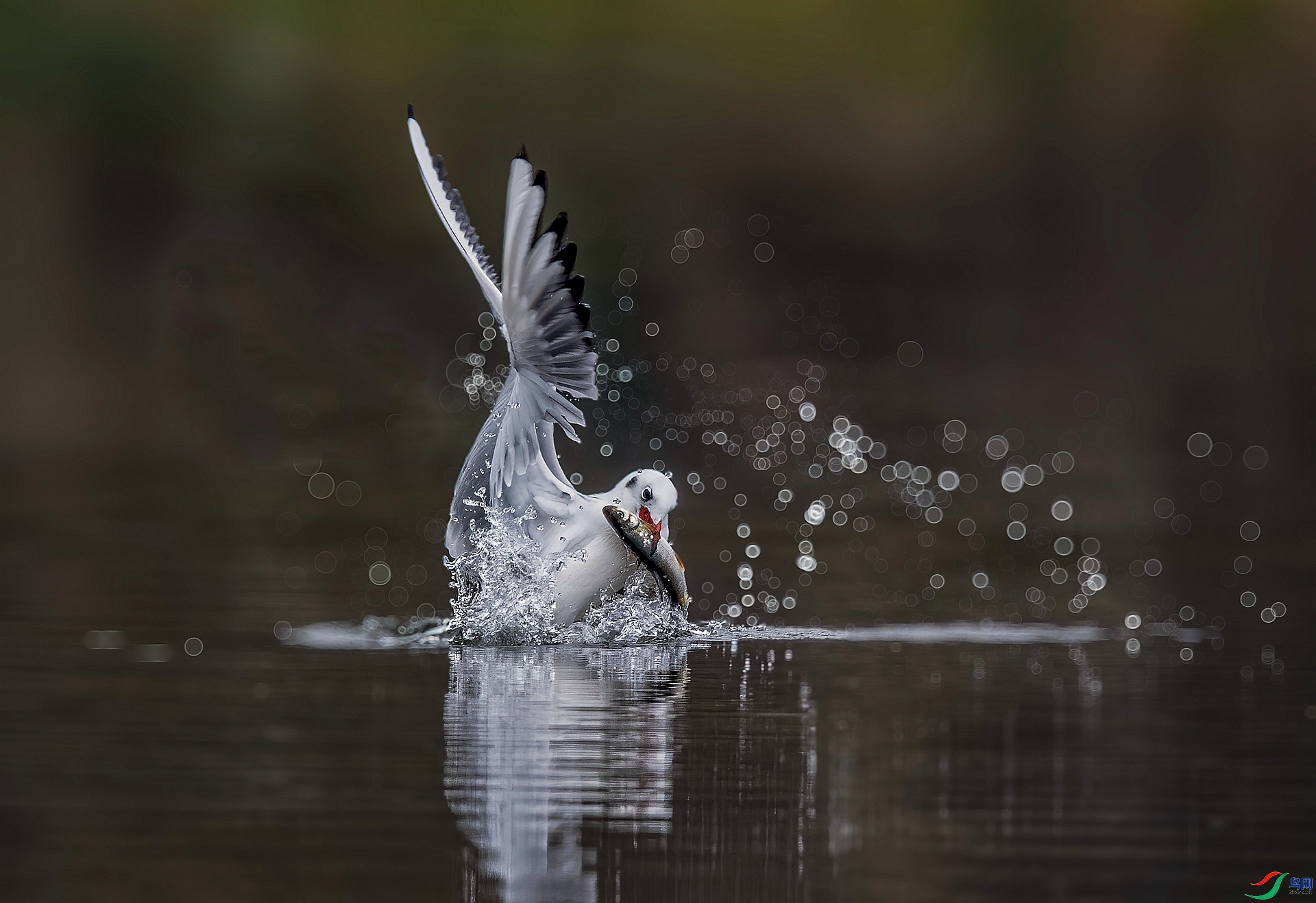 ���� ���� ������ ����.jpg