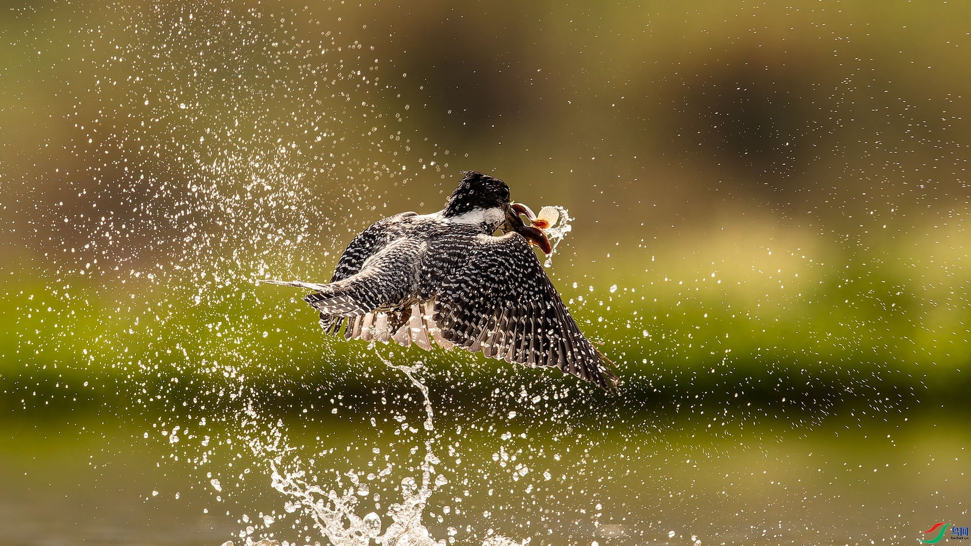 ����  ���� ɽɽɽ ����.jpg