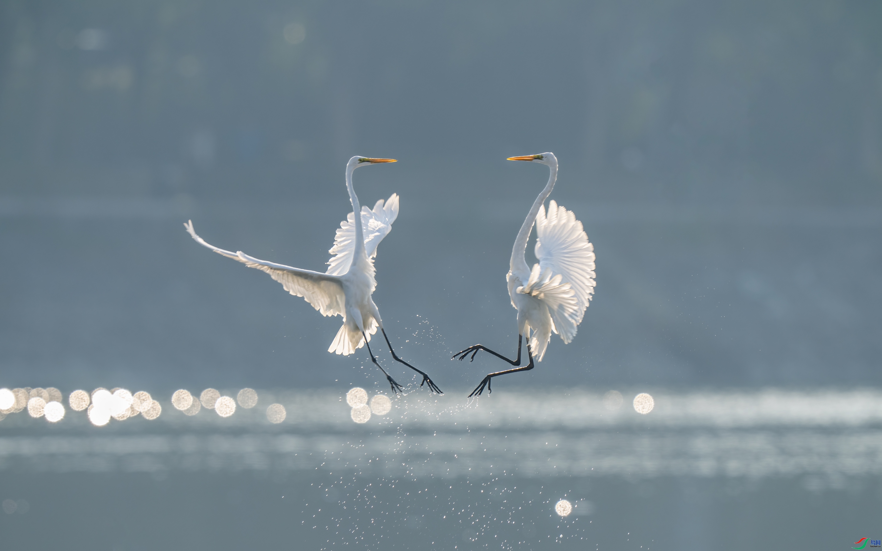 һ������ ���� ���� ����.jpg