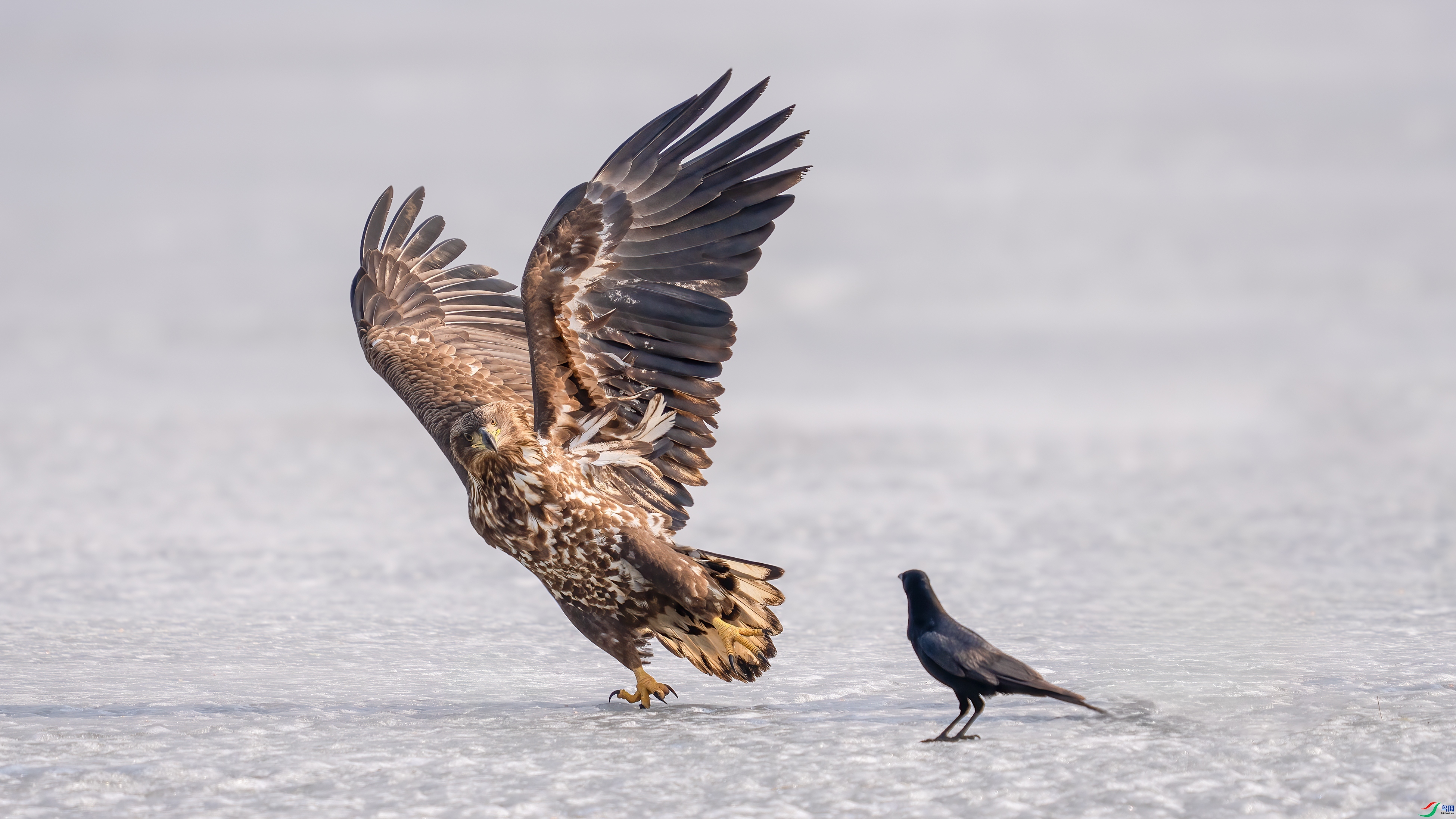 �Ҹ���ѻ������ ���� С�׺� ����.jpg