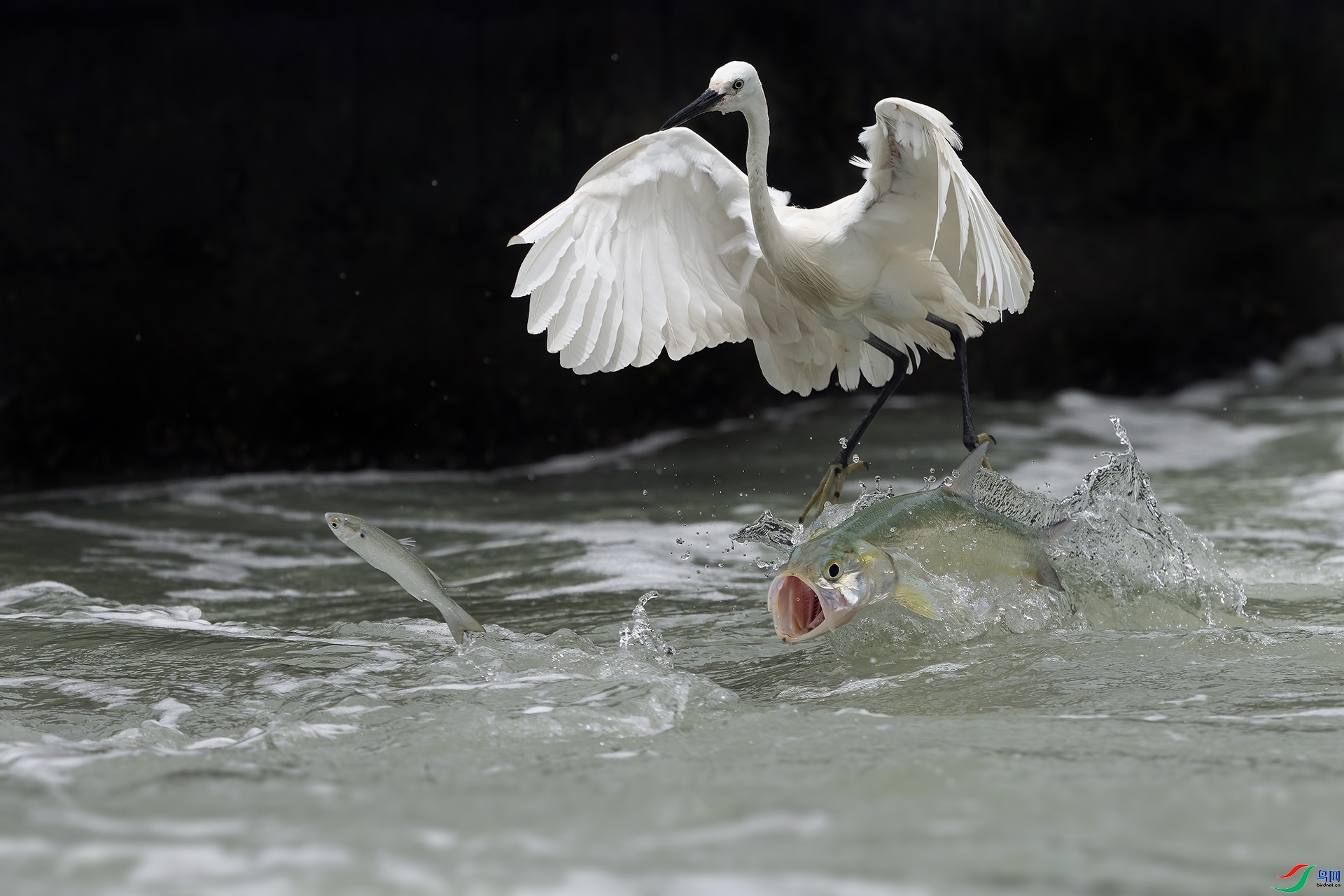 ��׷�Ҹ� ���� ���ž��� ����.jpg