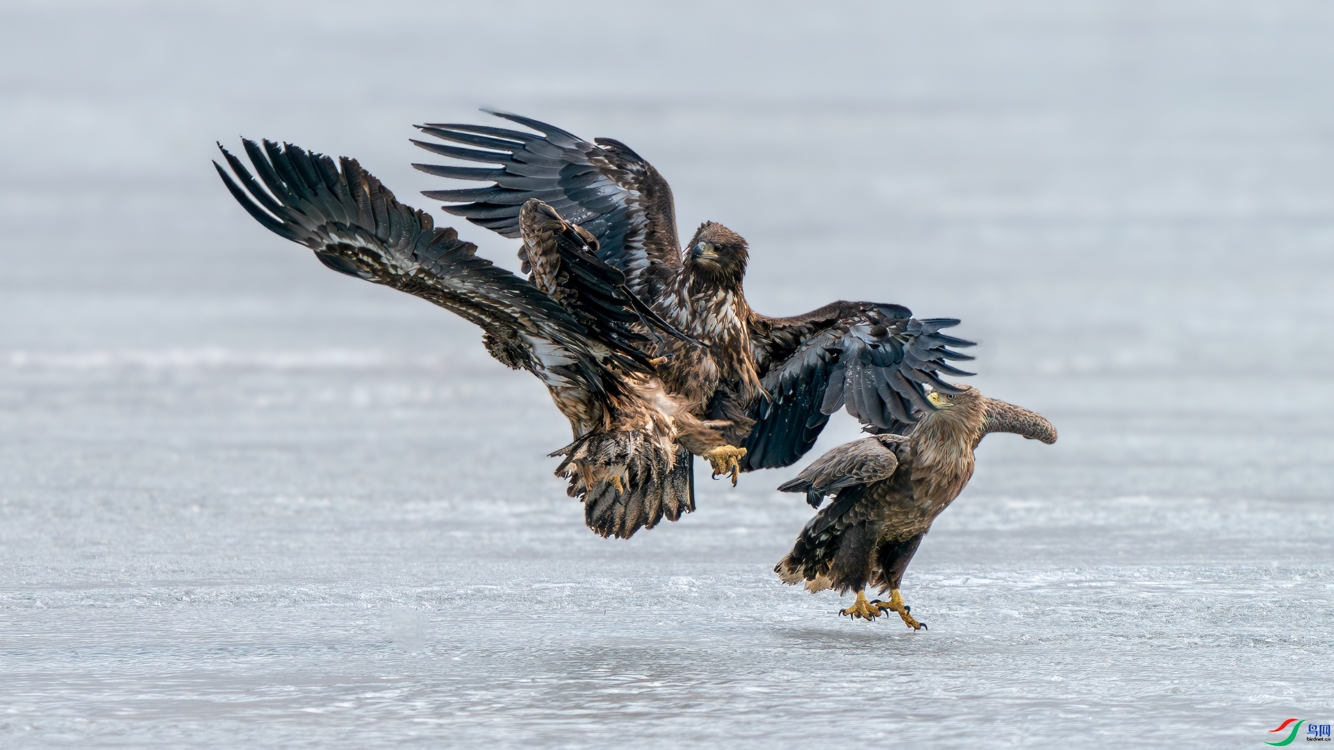 ����  ���� ��������  ����.jpg