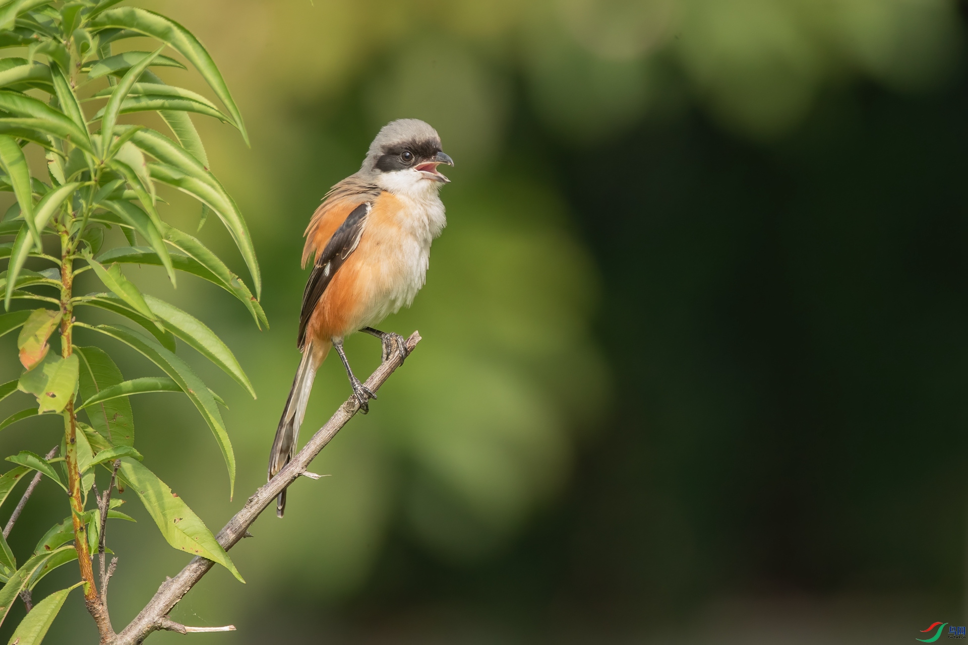 B86I8991 _����.jpg