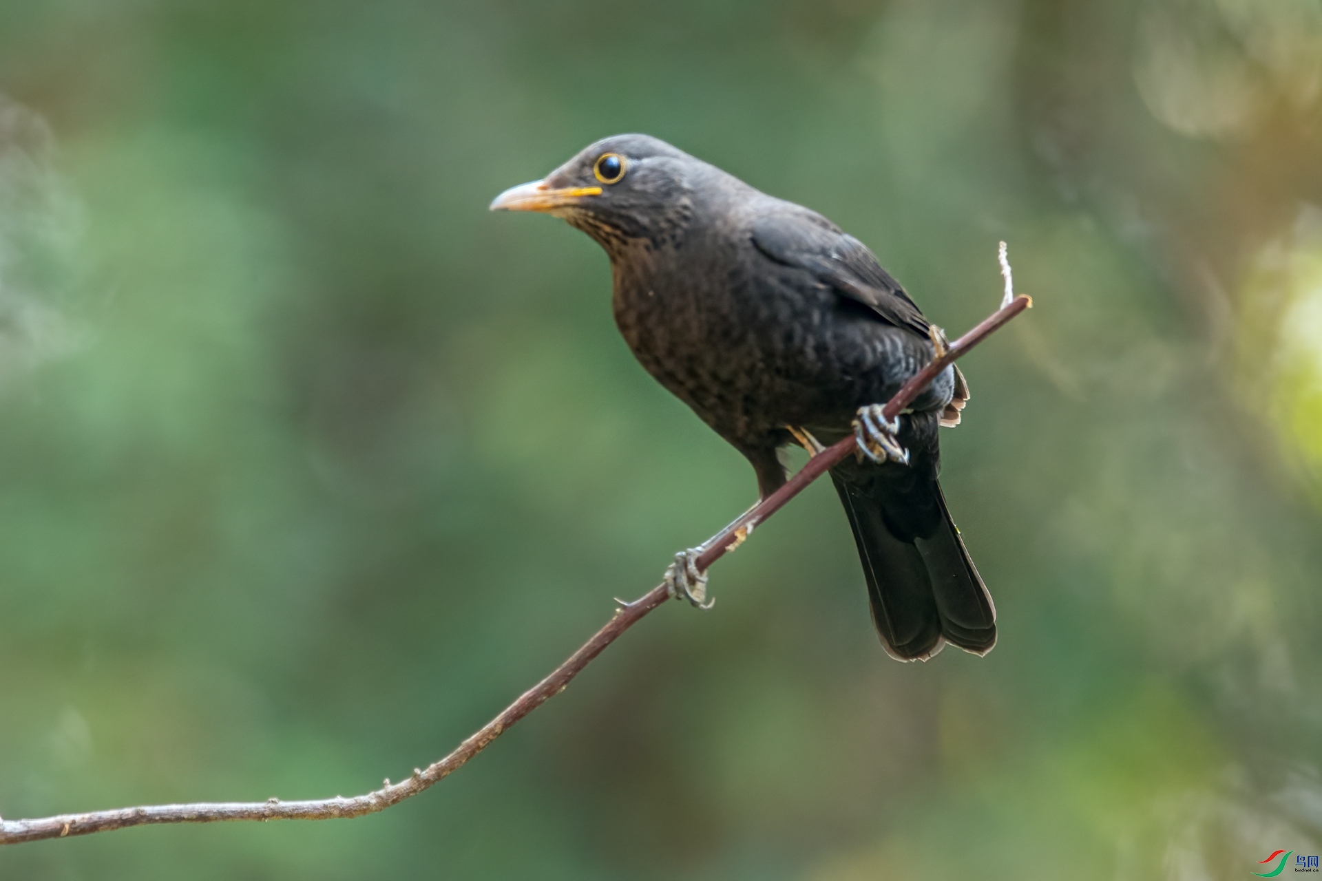 B86I2053 _����.jpg