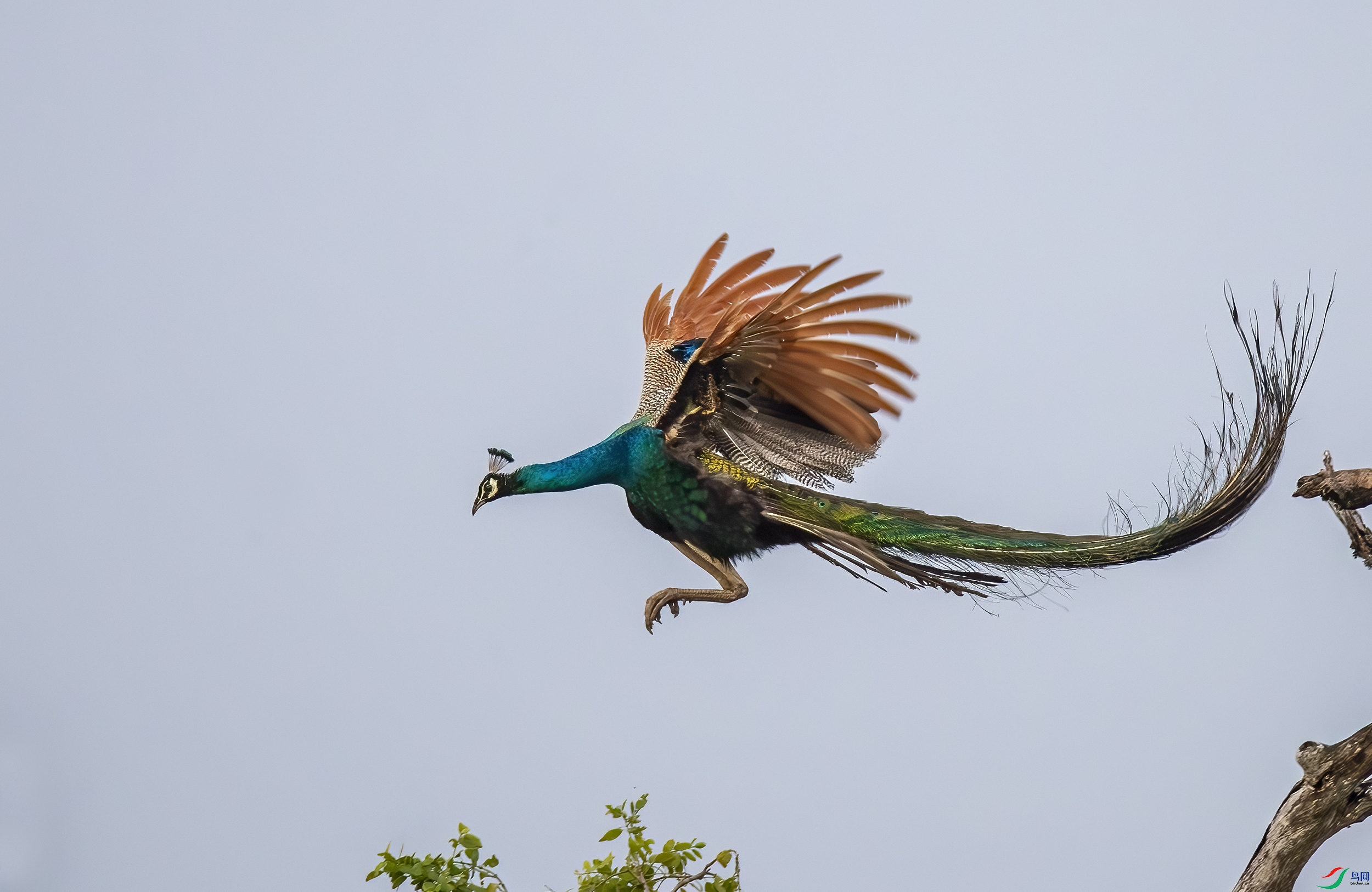 AC3I4754-����ǿ-NR ����.jpg