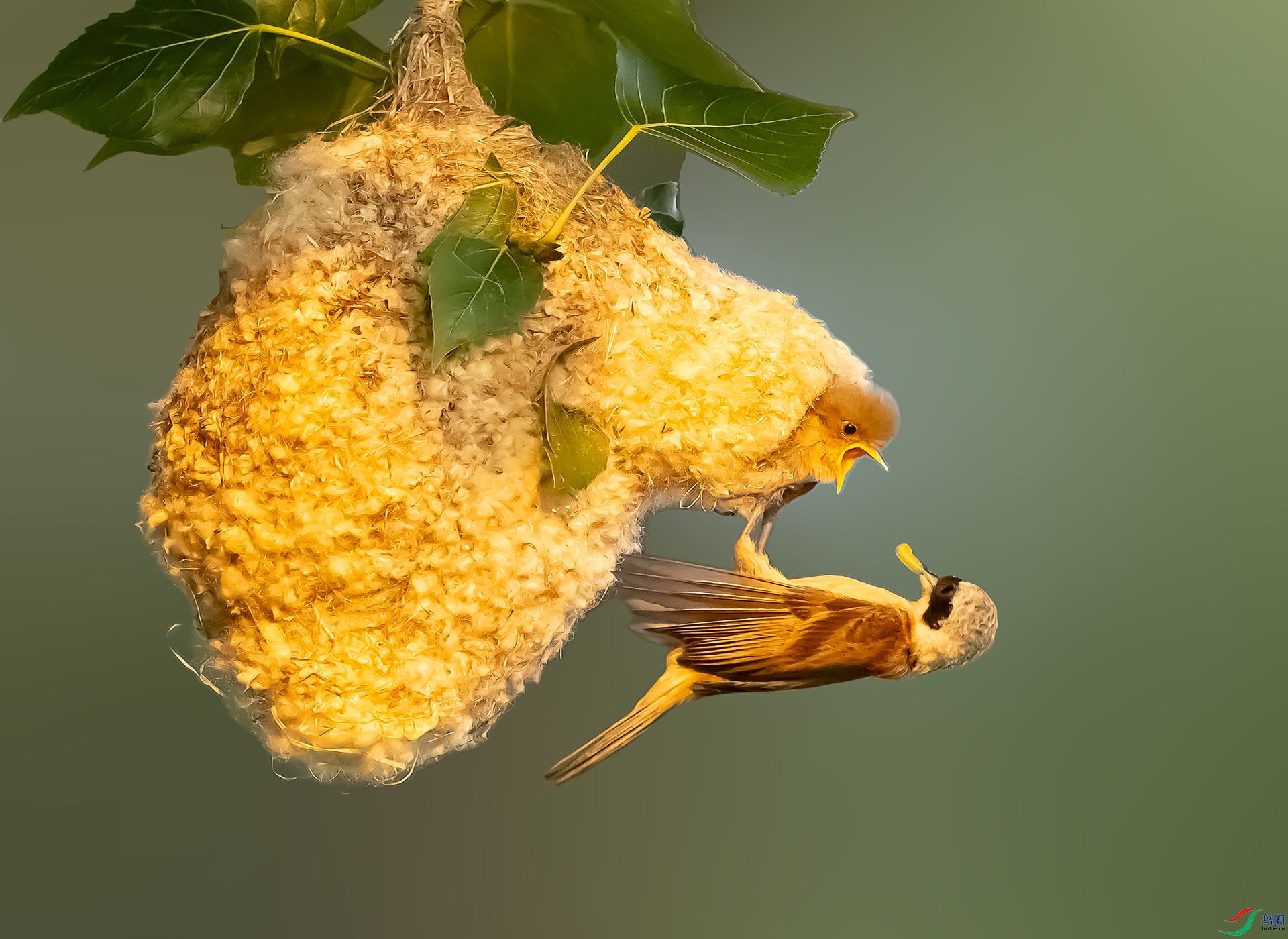 019A5942 ����.jpg