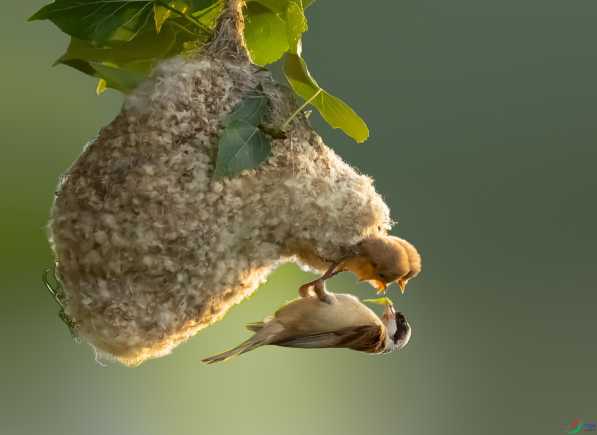 019A5442 ����.jpg