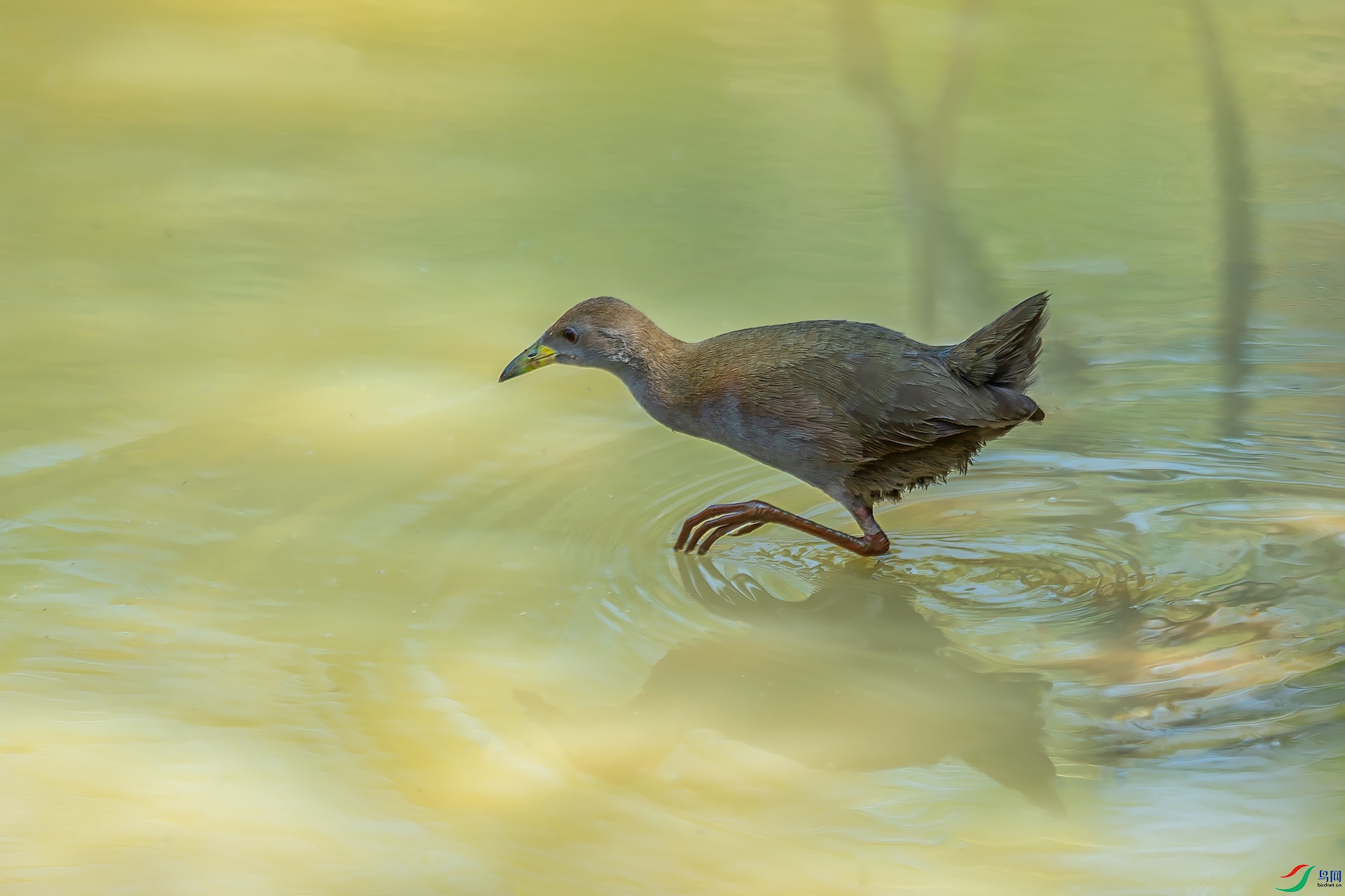 DSC_6804.jpg