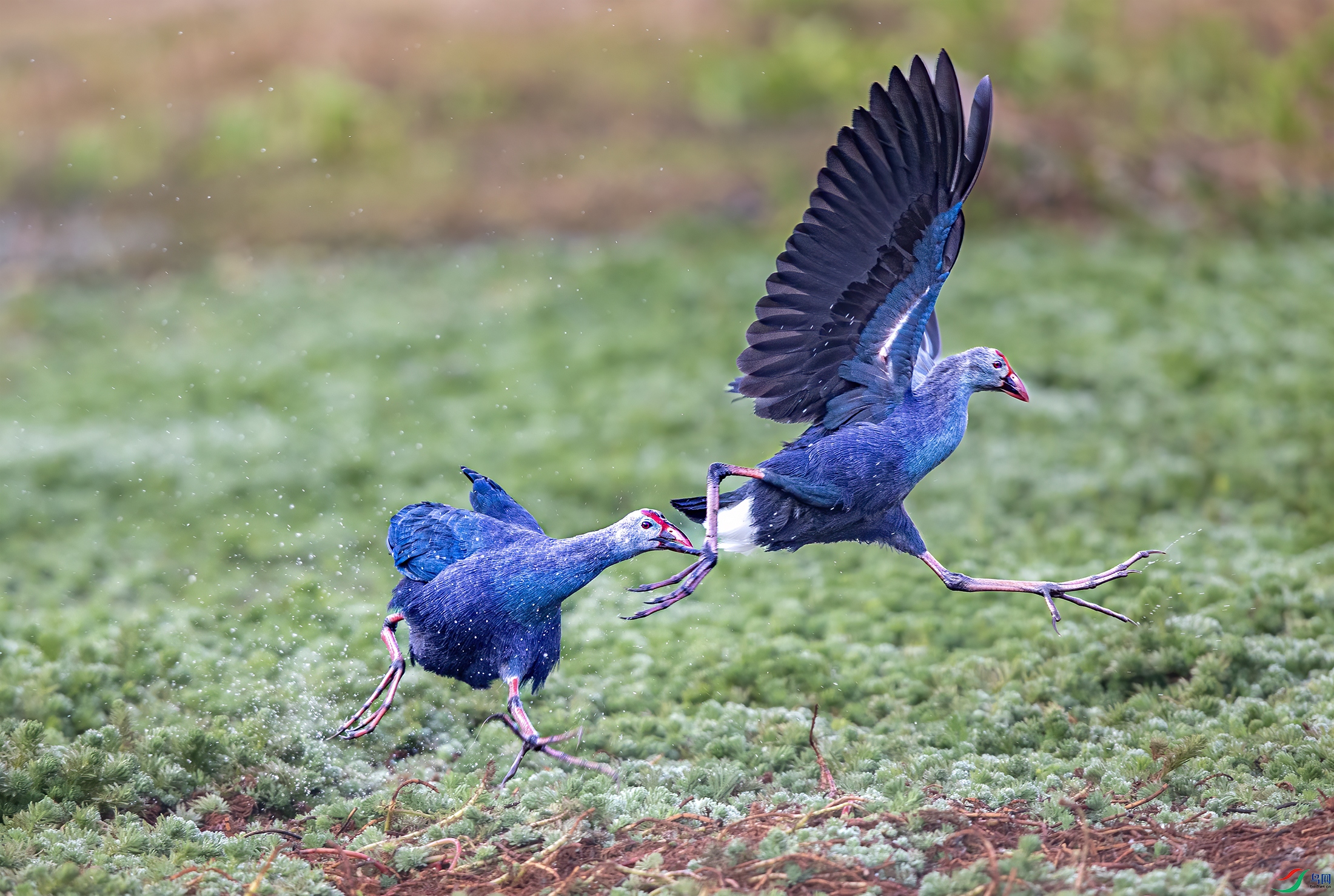 A15I0418 ����.jpg