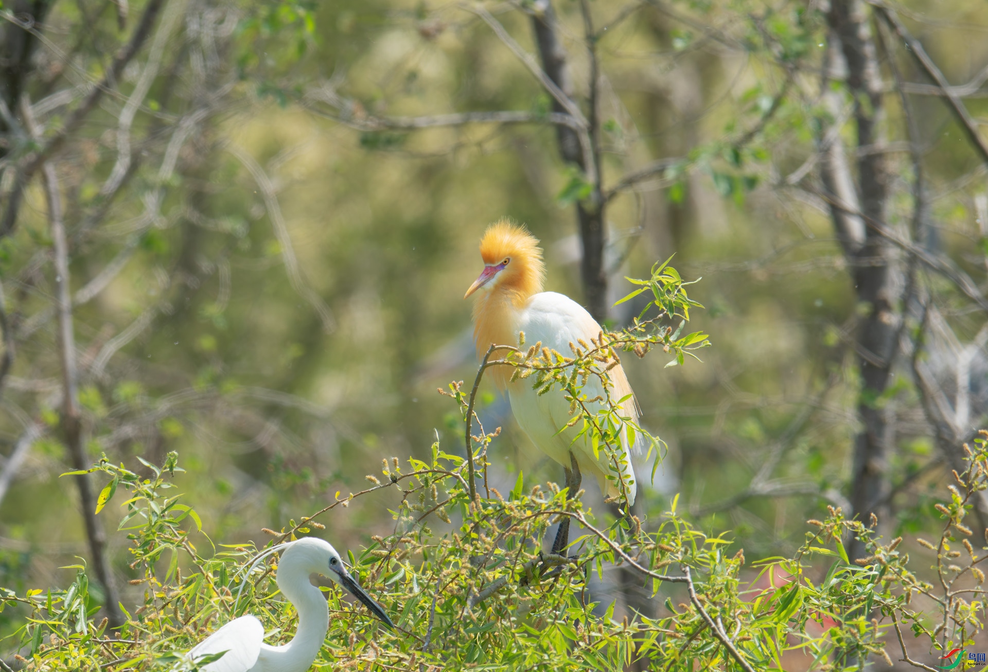 DSC_6051-1.jpg