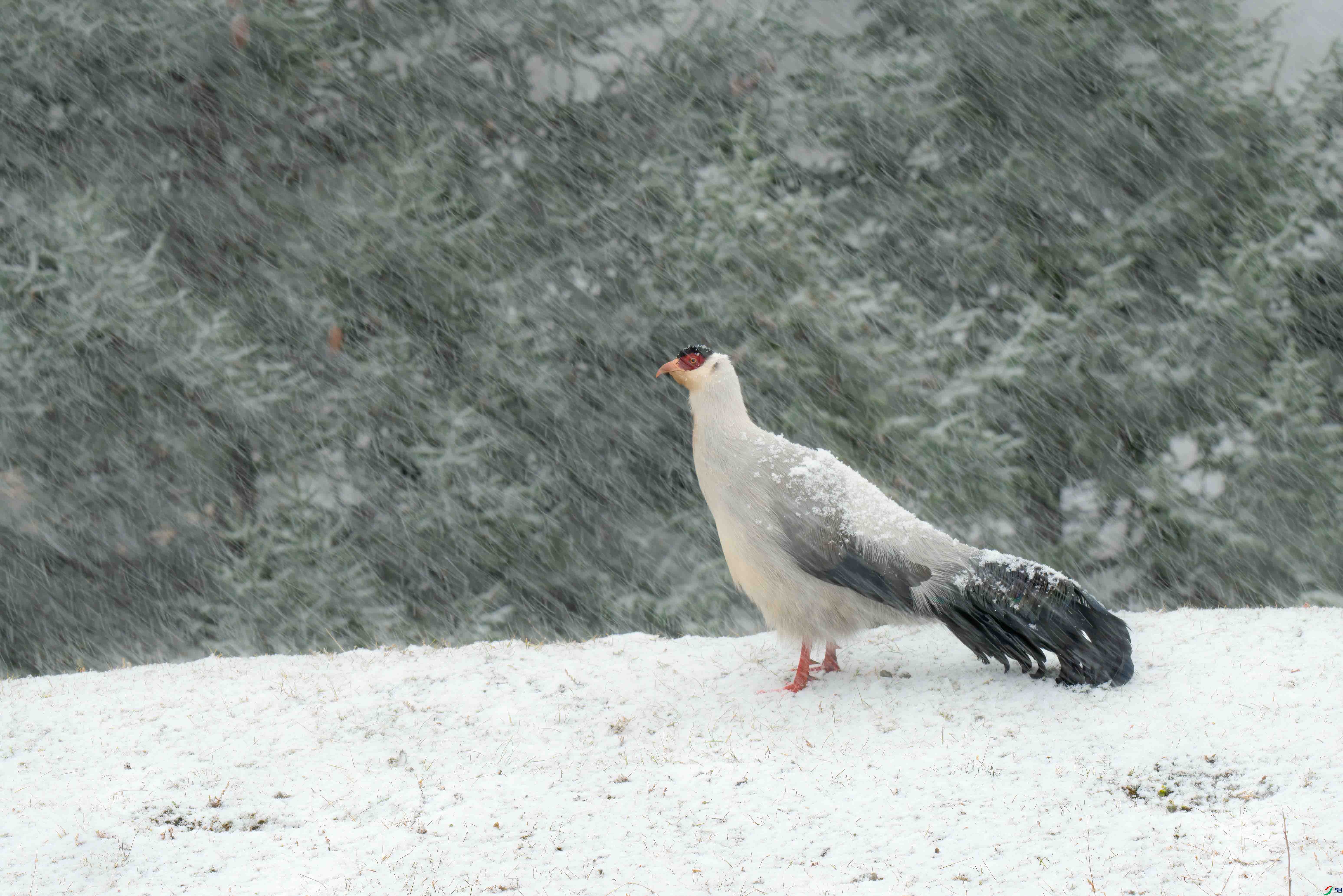 ������˼������һ��