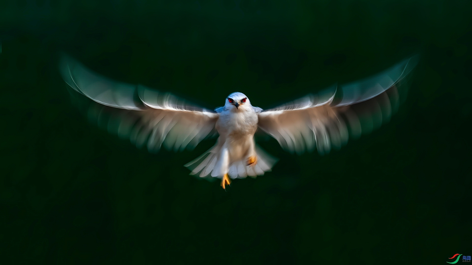 7.8 ��������ʦ��Ʒ  �ڳ��  �ٻ�2024��7��8��ÿ��һͼ.jpg