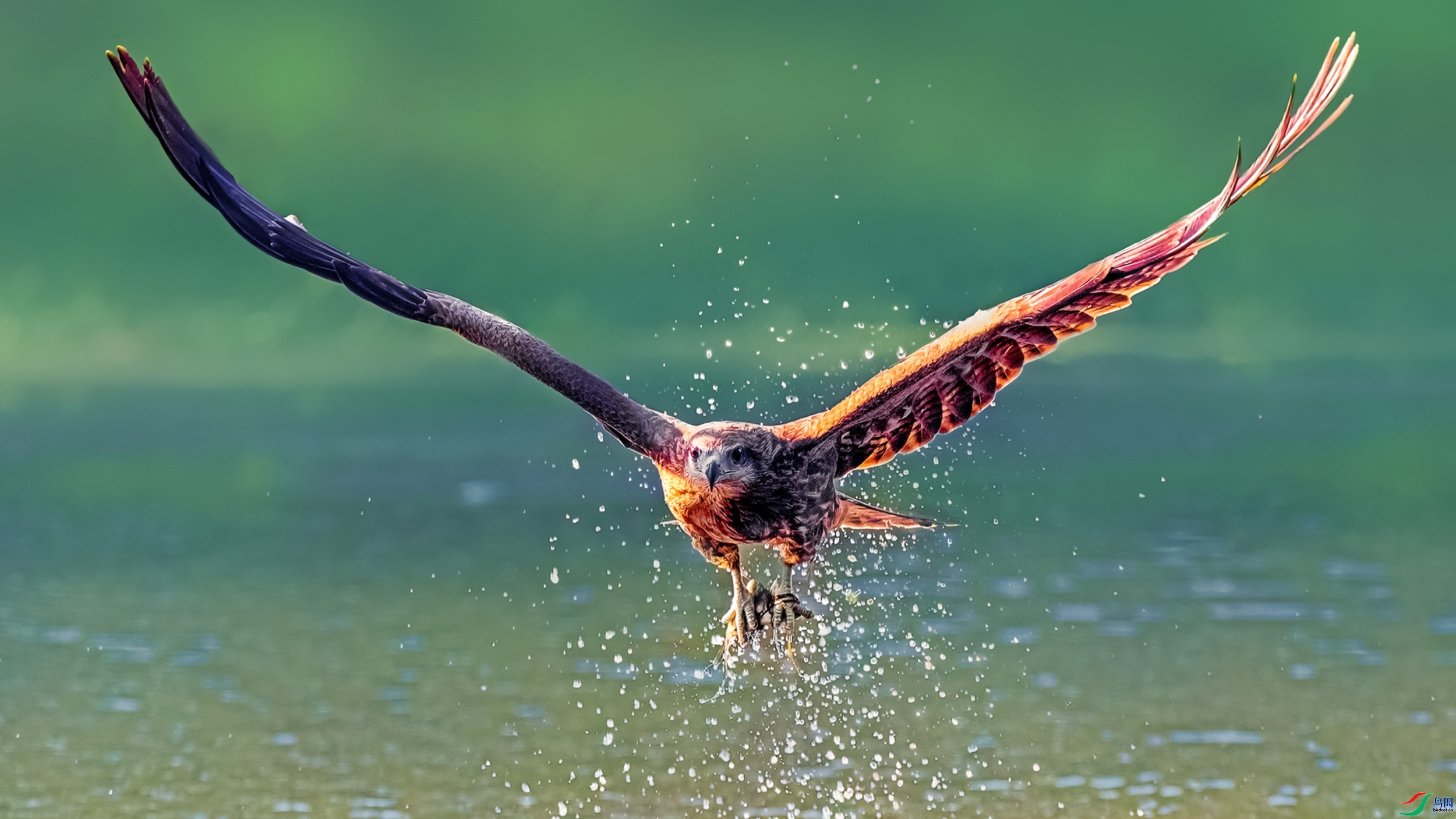 7.6 Hsia��ʦ��Ʒ  �ڶ��  �ٻ�2024��7��6�հ�����ҳ����.jpg