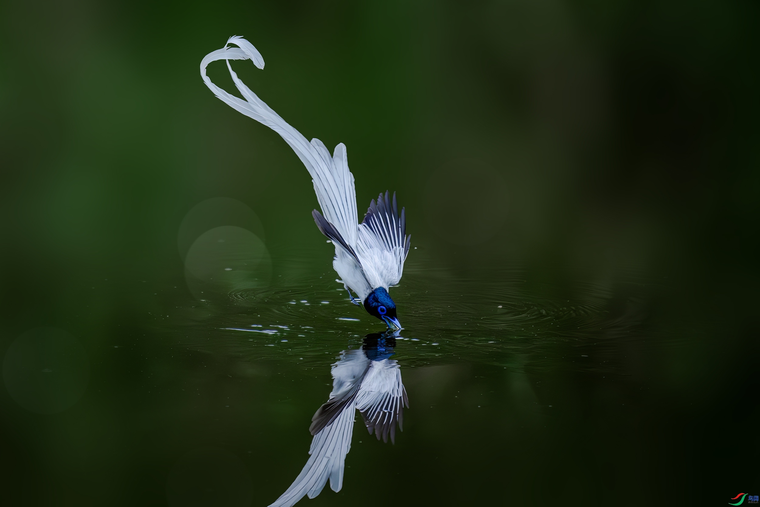 7.7 ���һ��(ΰ)��ʦ��Ʒ  Ʈ��  �ٻ�2024��7��7�ջ�Ա��ҳ����.jpg