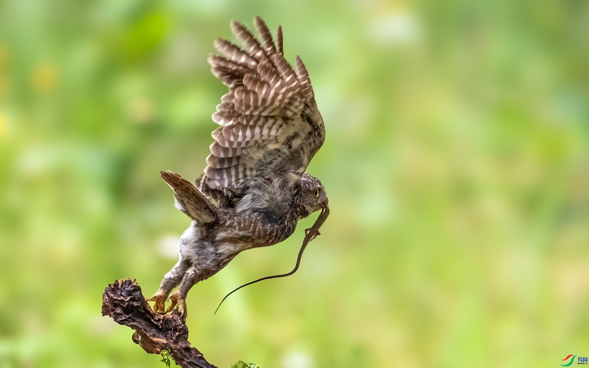 7.7 �����ʦ��Ʒ  �ؼ�  �ٻ�2024��7��7����Ӱʦ��ҳ����.jpg