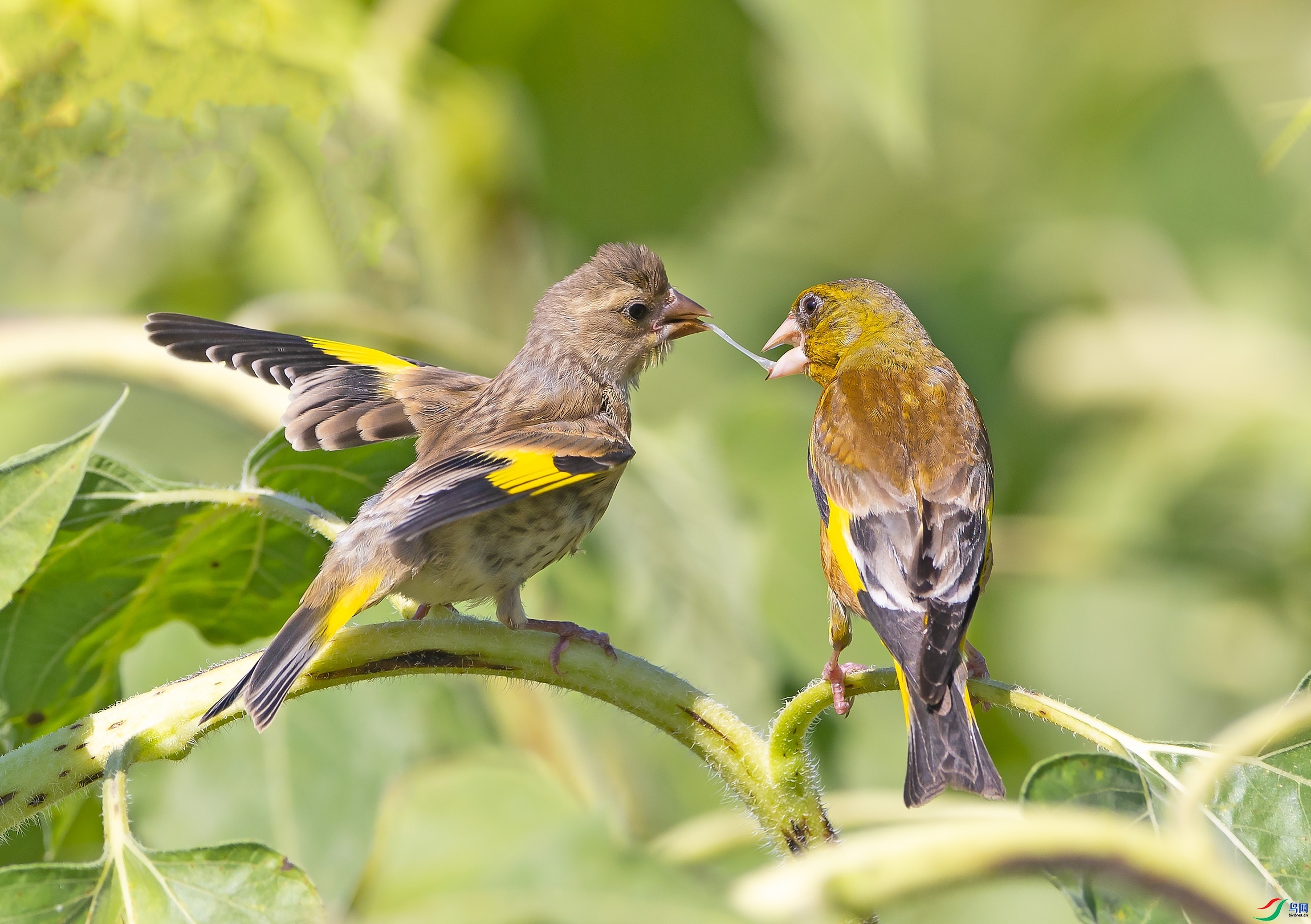 7.7 ��Ӱ������ʦ��Ʒ  ĸ��(2)  �ٻ�2024��7��7��������ҳ����.jpg