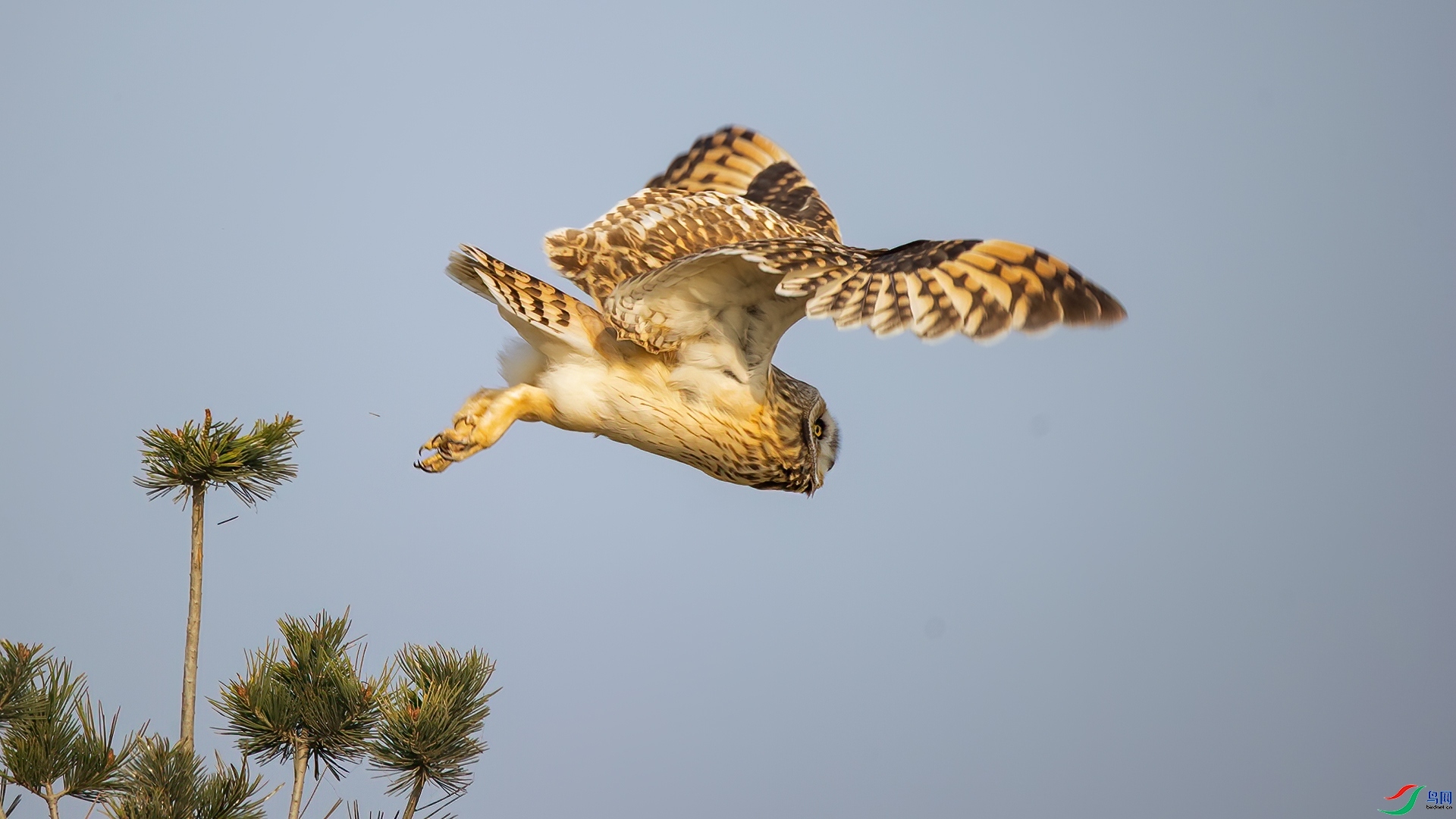 7.7 ����¥̨��ʦ��Ʒ  �̶��^����  �ٻ�2024��7��7��������ҳ����.jpg