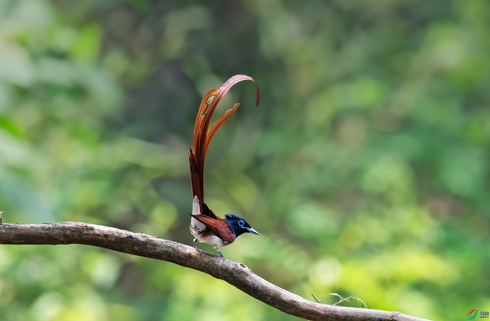 7.7 ѩ������ʦ��Ʒ  練�  �ٻ�2024��7��7��������ҳ����.jpg