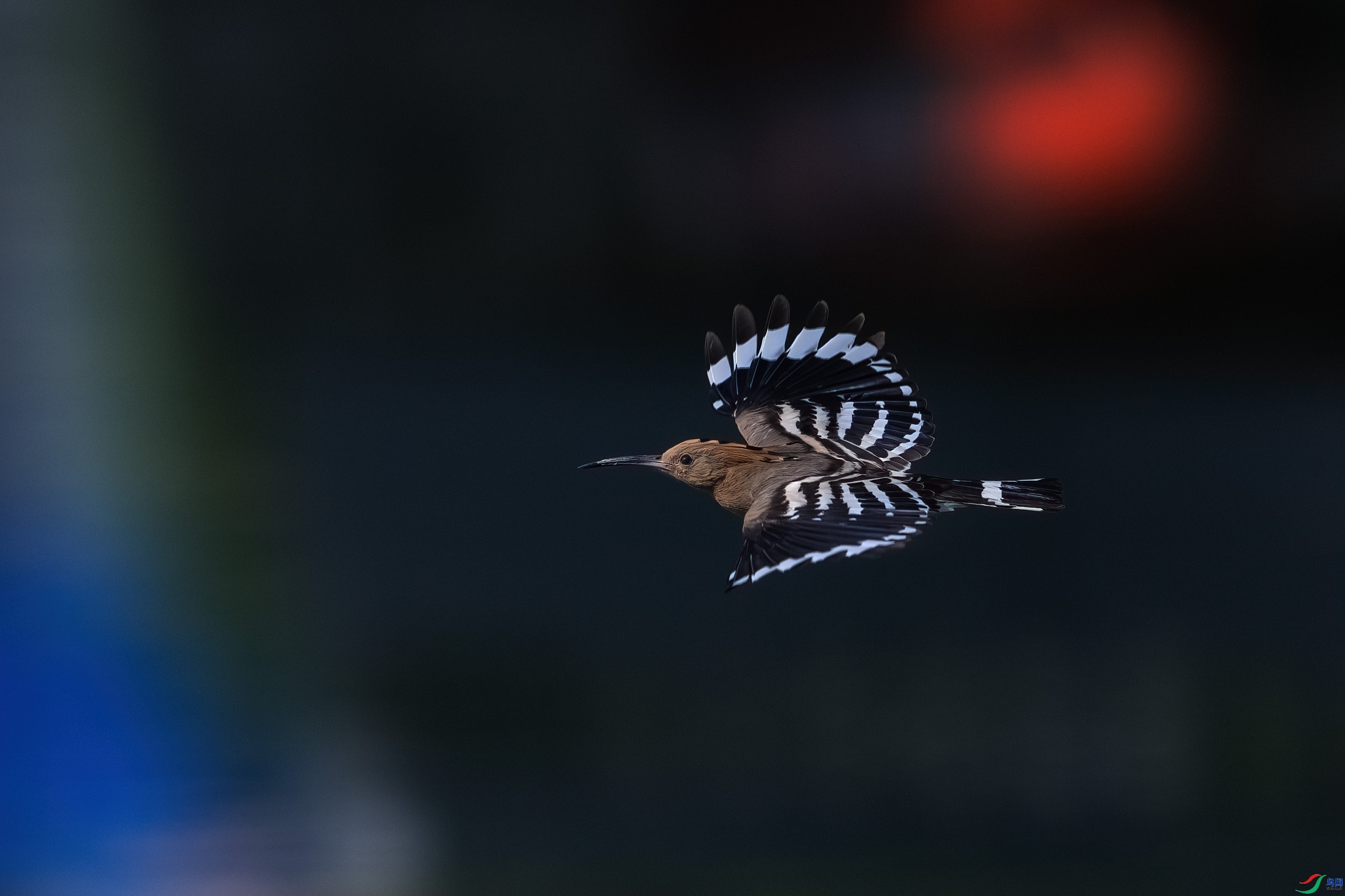 7.7 ������ʦ��Ʒ  ҹĻ��  �ٻ�2024��7��7��������ҳ����.jpg