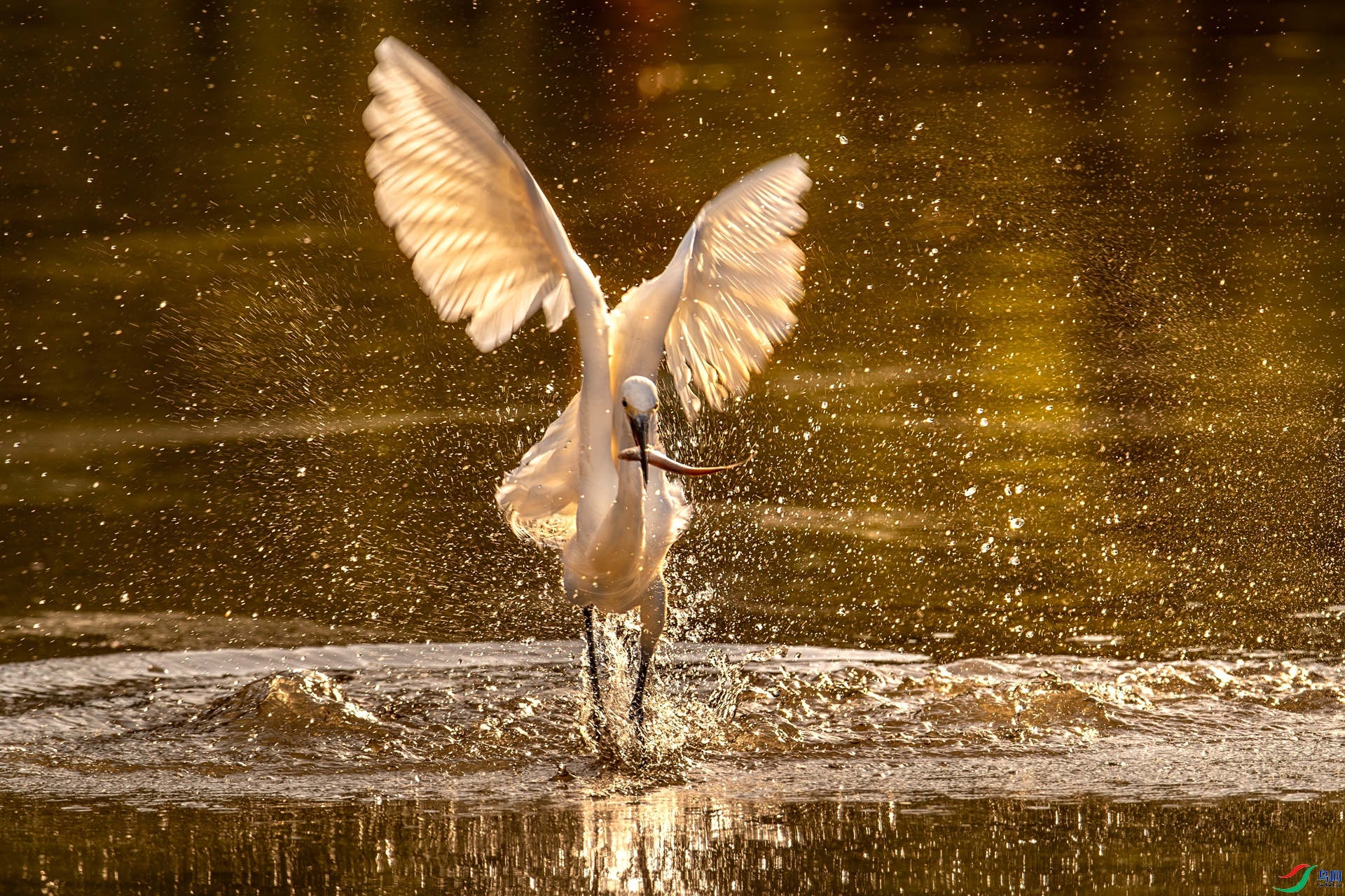 7.8 ��Ů��·����ʦ��Ʒ  Ϧ������  �ٻ�2024��7��8�հ�����ҳ����.jpg