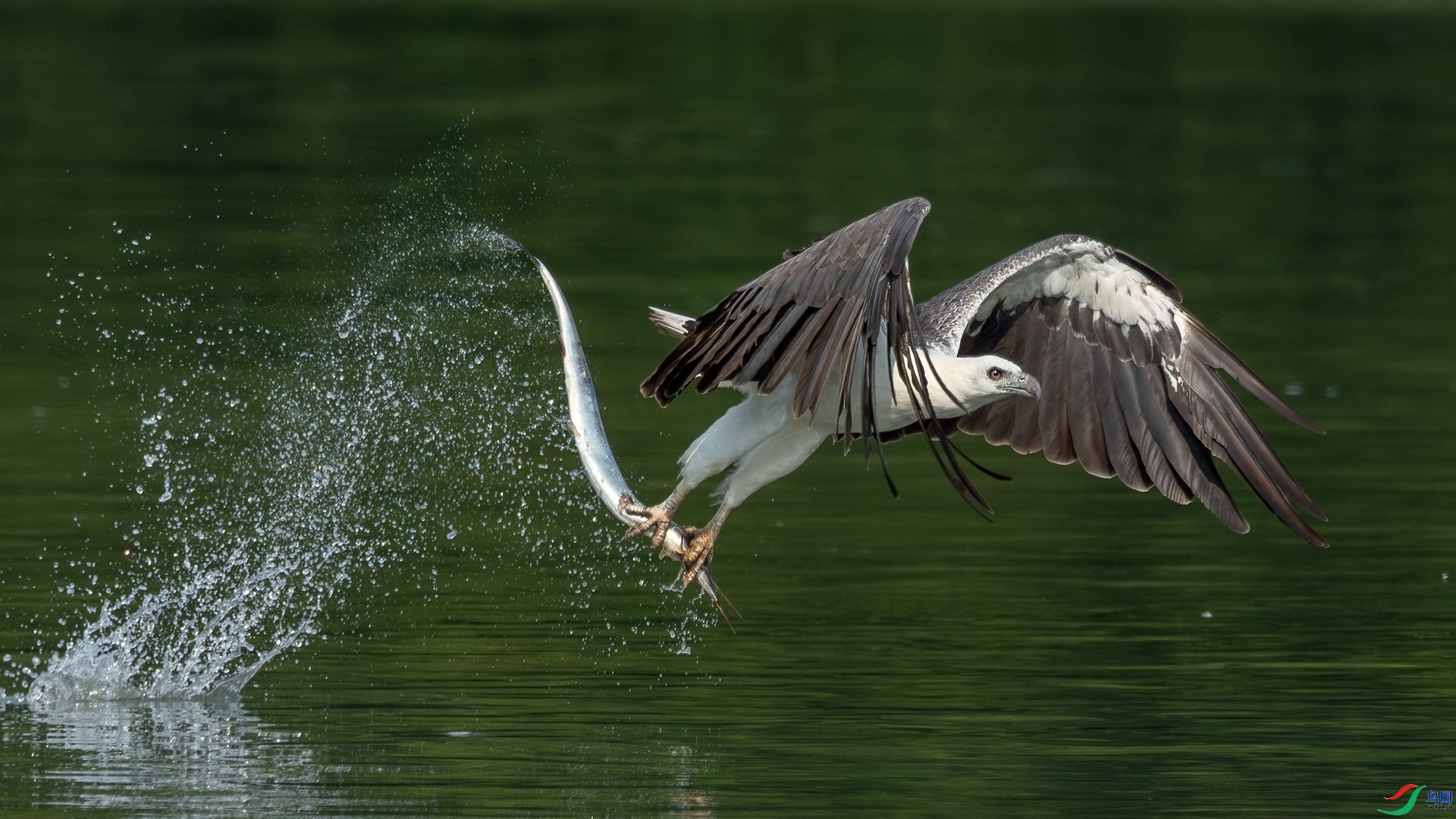 7.8 �����ʦ��Ʒ  ץ��  �ٻ�2024��7��8����Ӱʦ��ҳ����.jpg