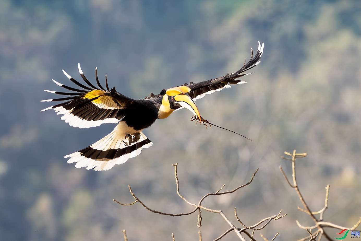 7.8 �ϸ�����ʦ��Ʒ  ʳ����С������  �ٻ�2024��7��8����Ӱʦ��ҳ����.jpg