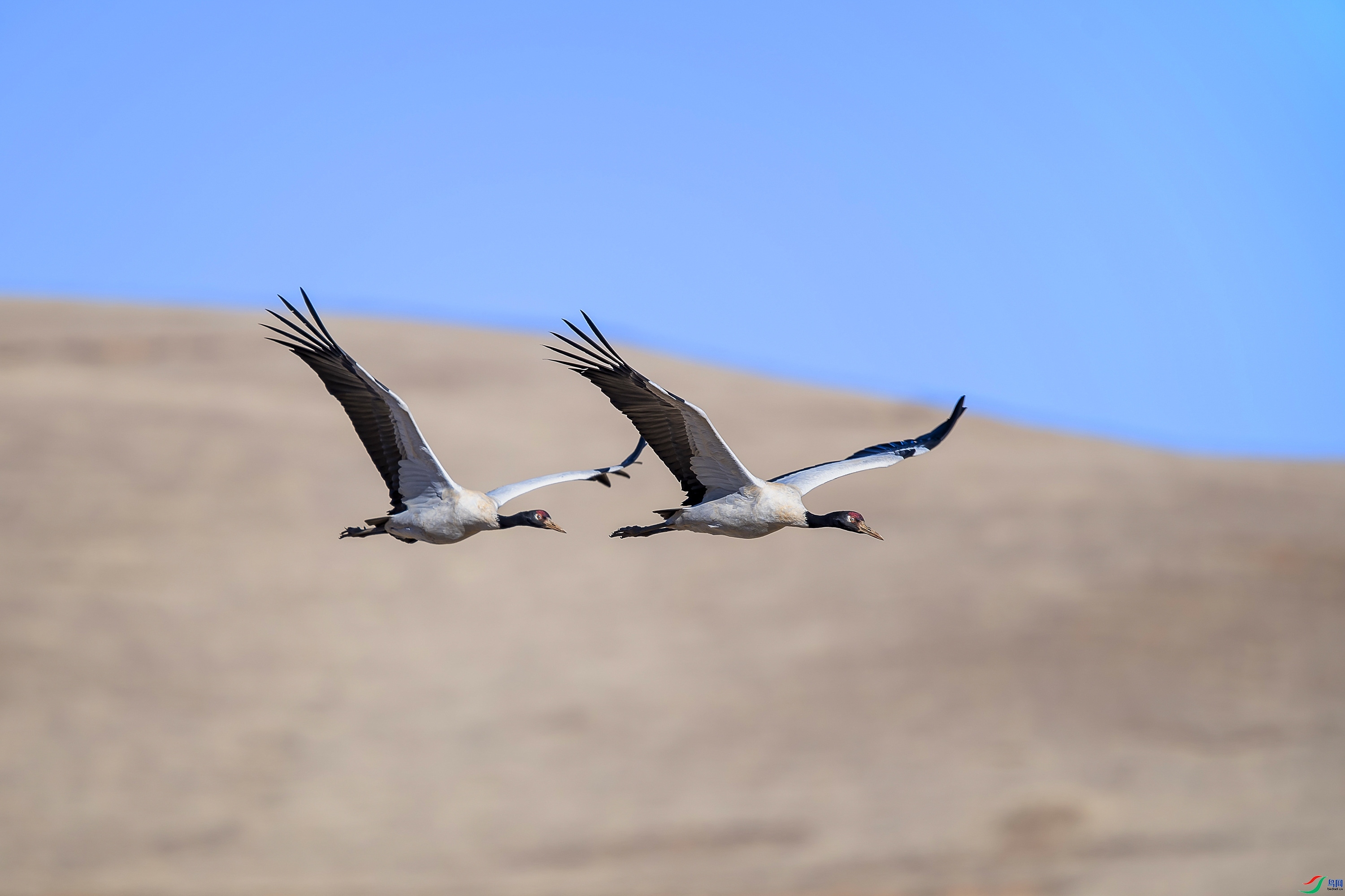 7.8 ����1183��ʦ��Ʒ  ��̬ͬ��  �ٻ�2024��7��8�ջ�Ա��ҳ����.jpg