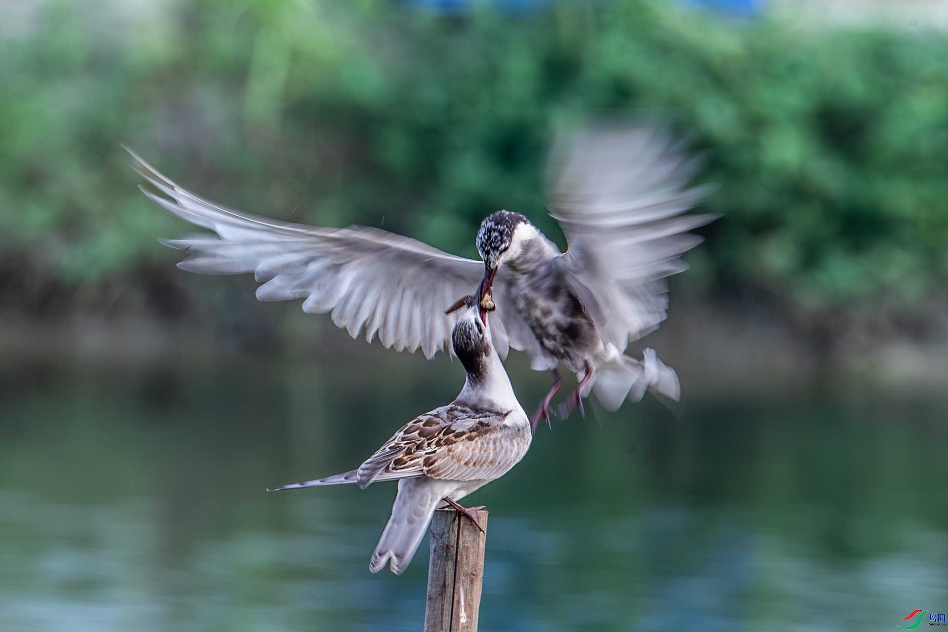 7.8 ����ī��ʦ��Ʒ ����  �ٻ�2024��7��8��������ҳ����.jpg