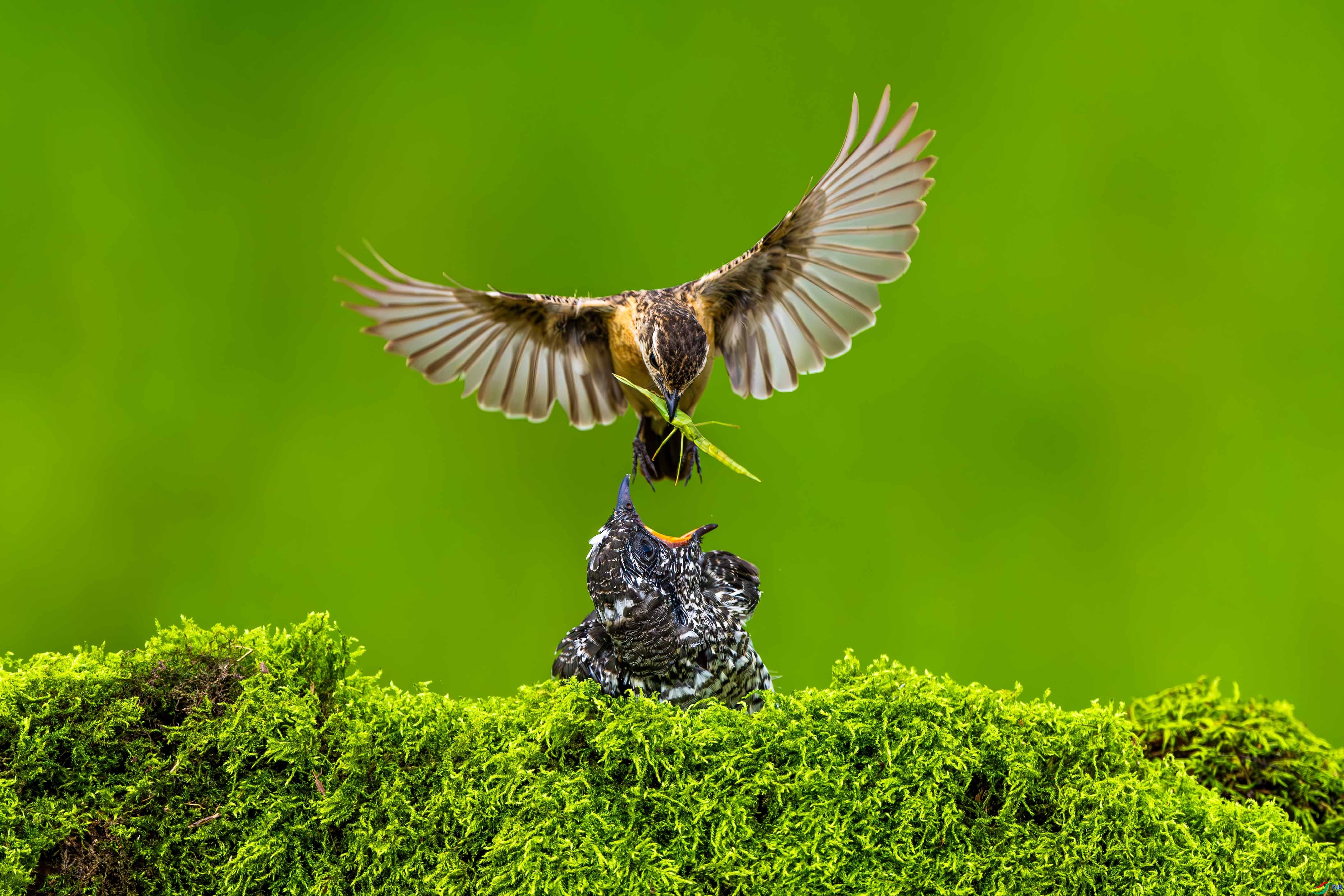 7.8 �^����ʦ��Ʒ  ��Ϳ�İ�  �ٻ�2024��7��8�ջ�Ա��ҳ����.jpg