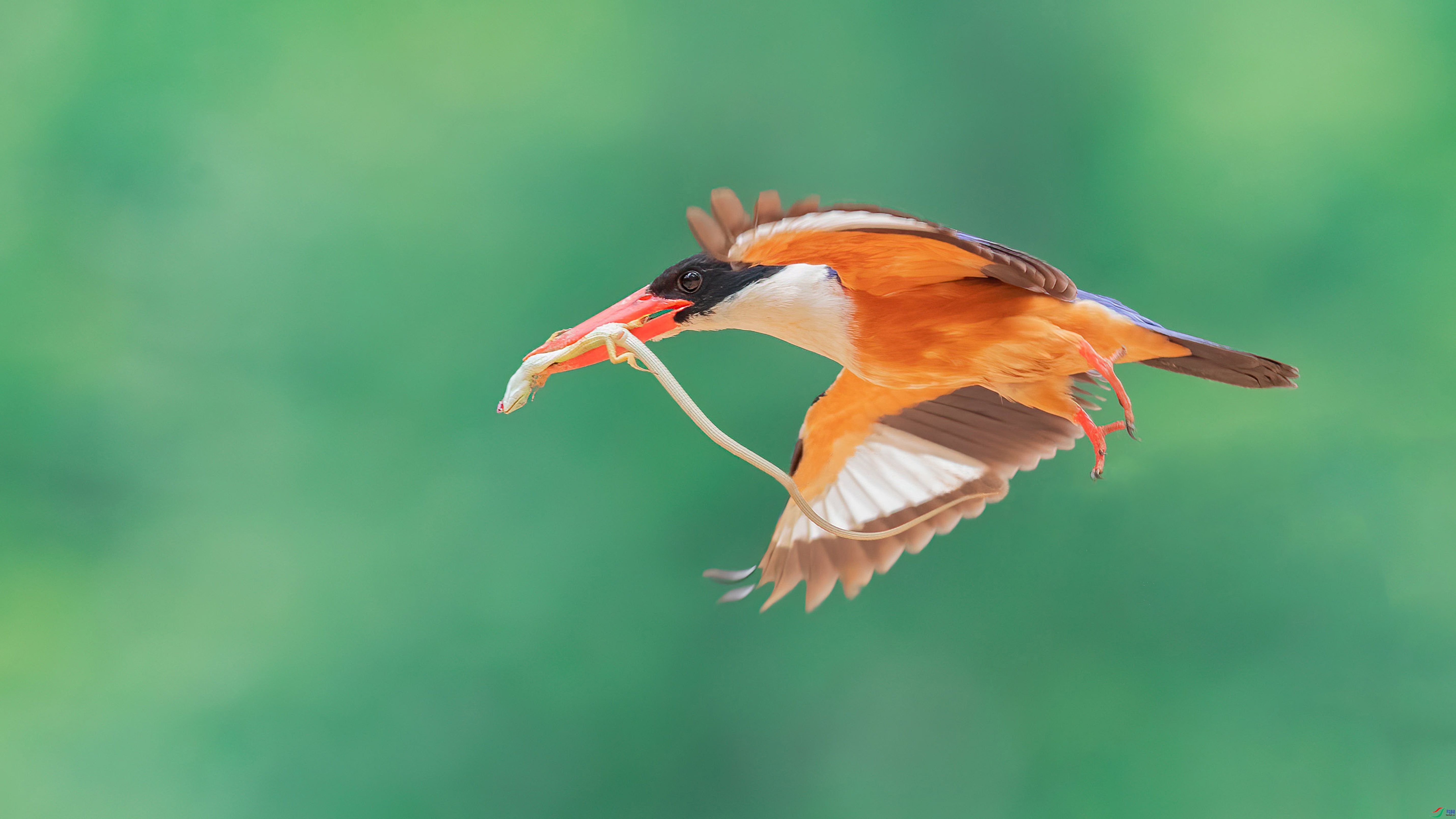 7.8 С������ʦ��Ʒ  �����п�  �ٻ�2024��7��8�հ�����ҳ����.jpg