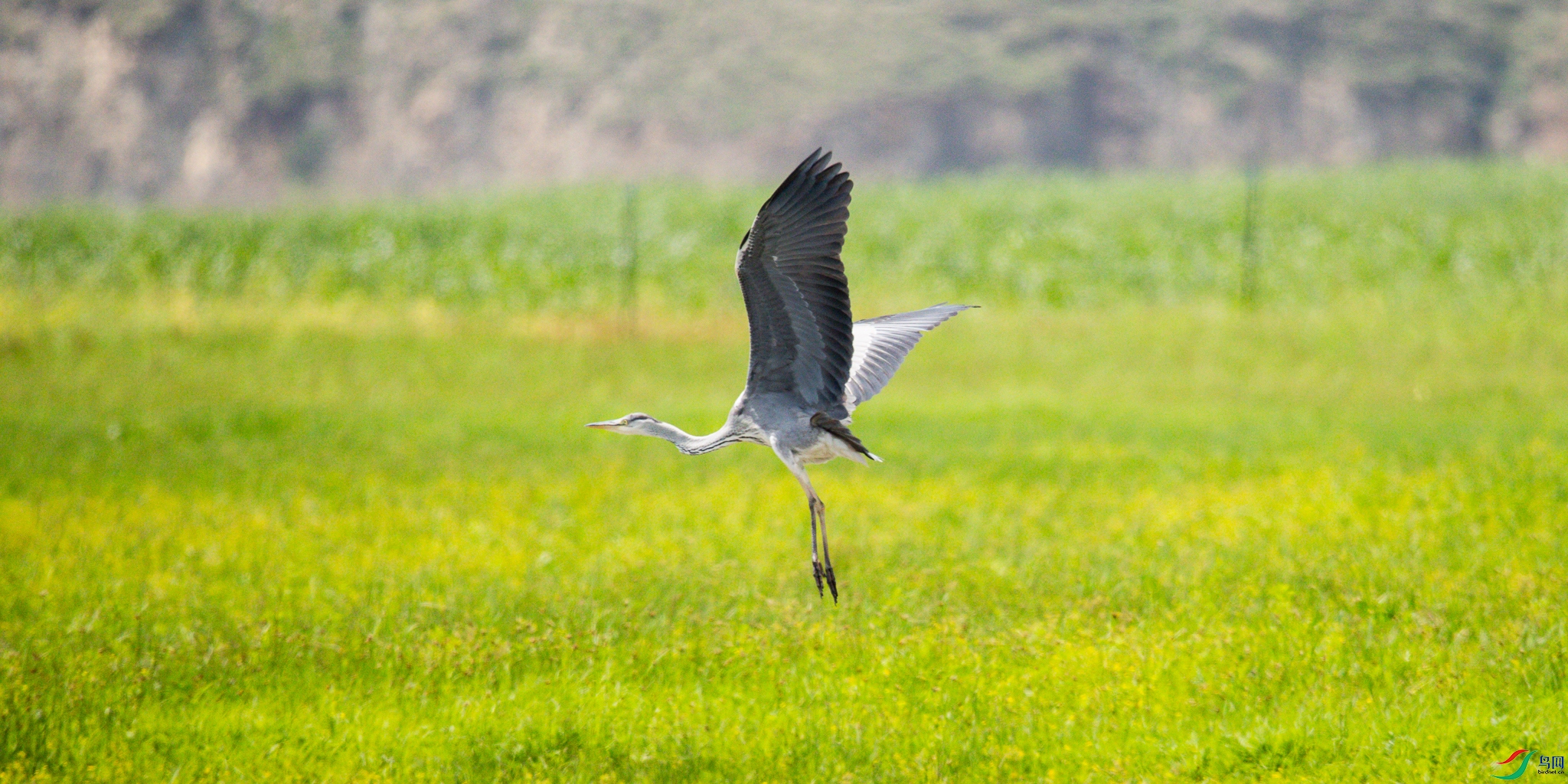 �������� 2