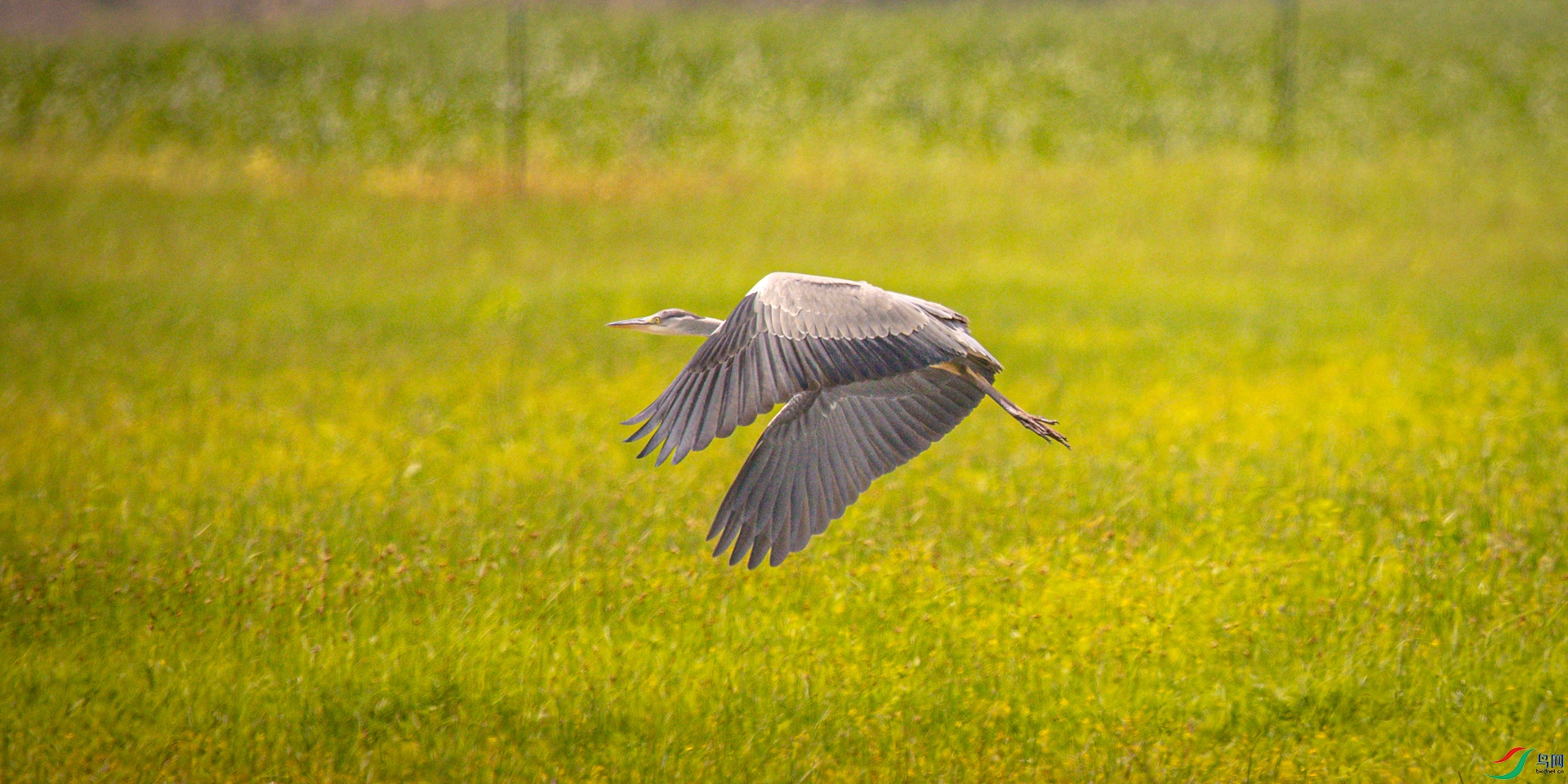 �������� 1