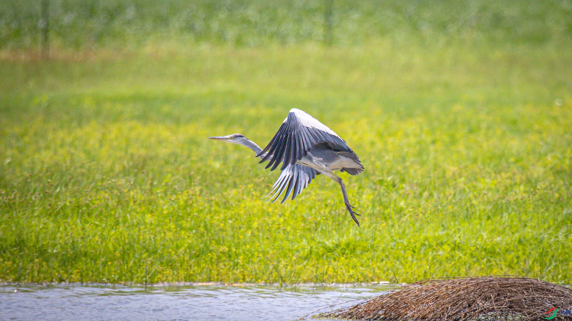 ������� 2