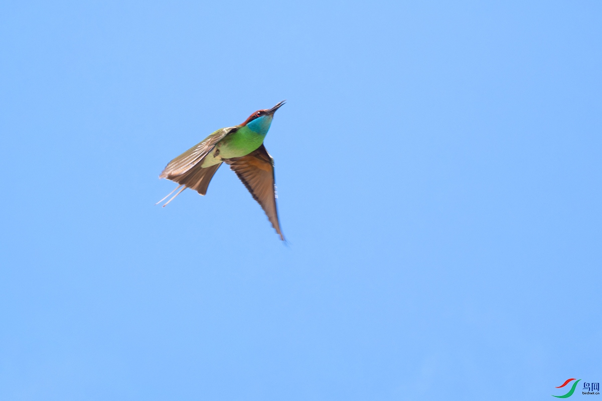 DSC_2410-����ǿ-NR.jpg