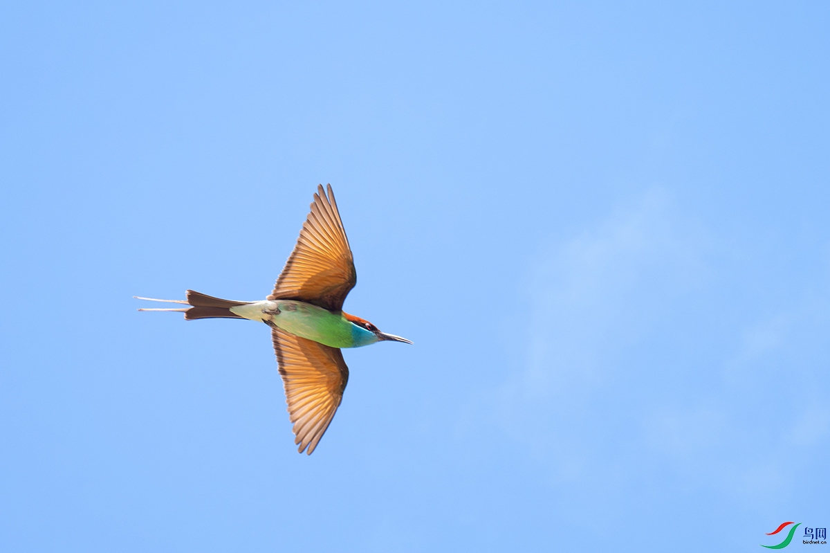 DSC_2433-����ǿ-NR.jpg