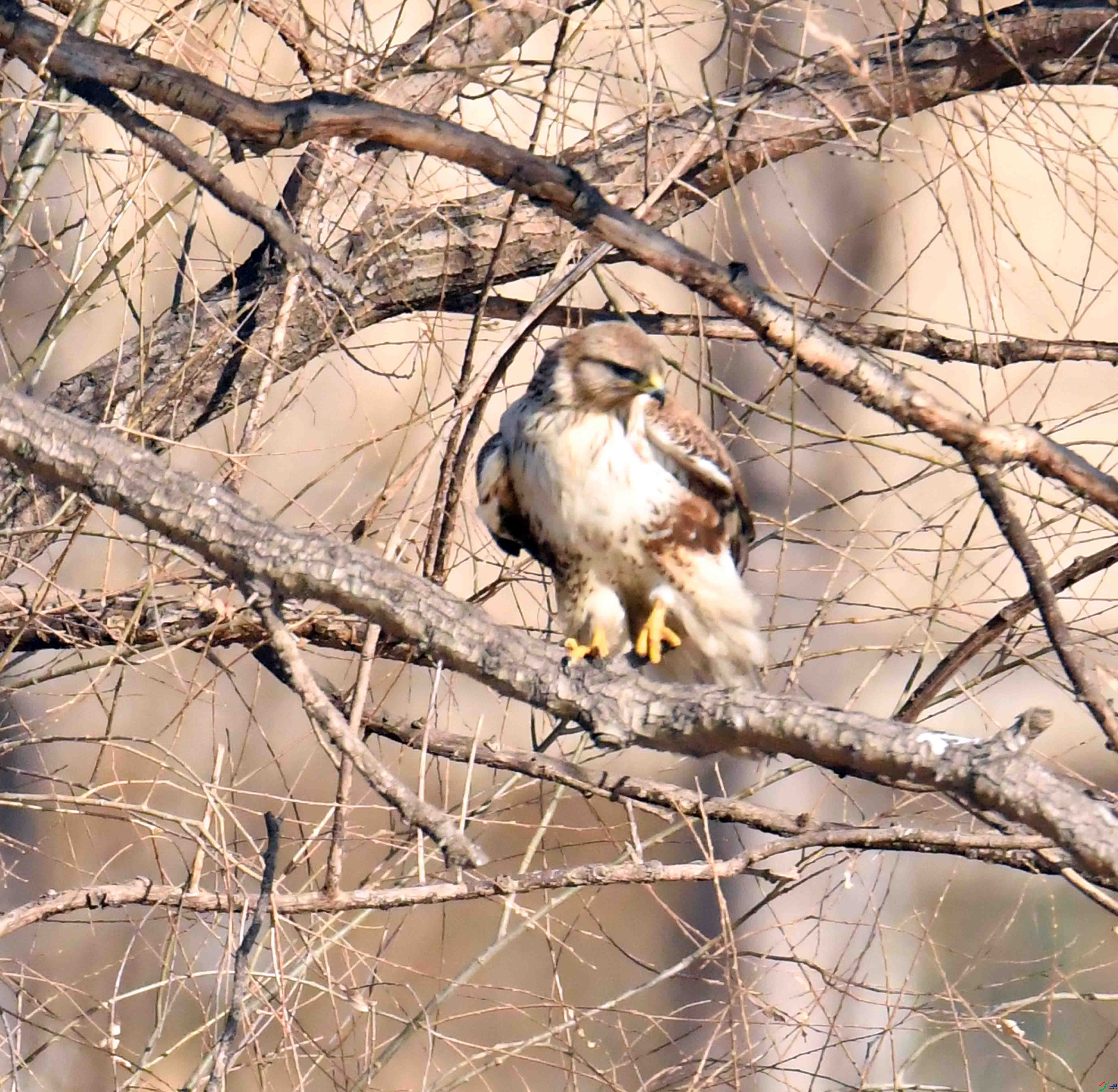 DSC_0761.JPG