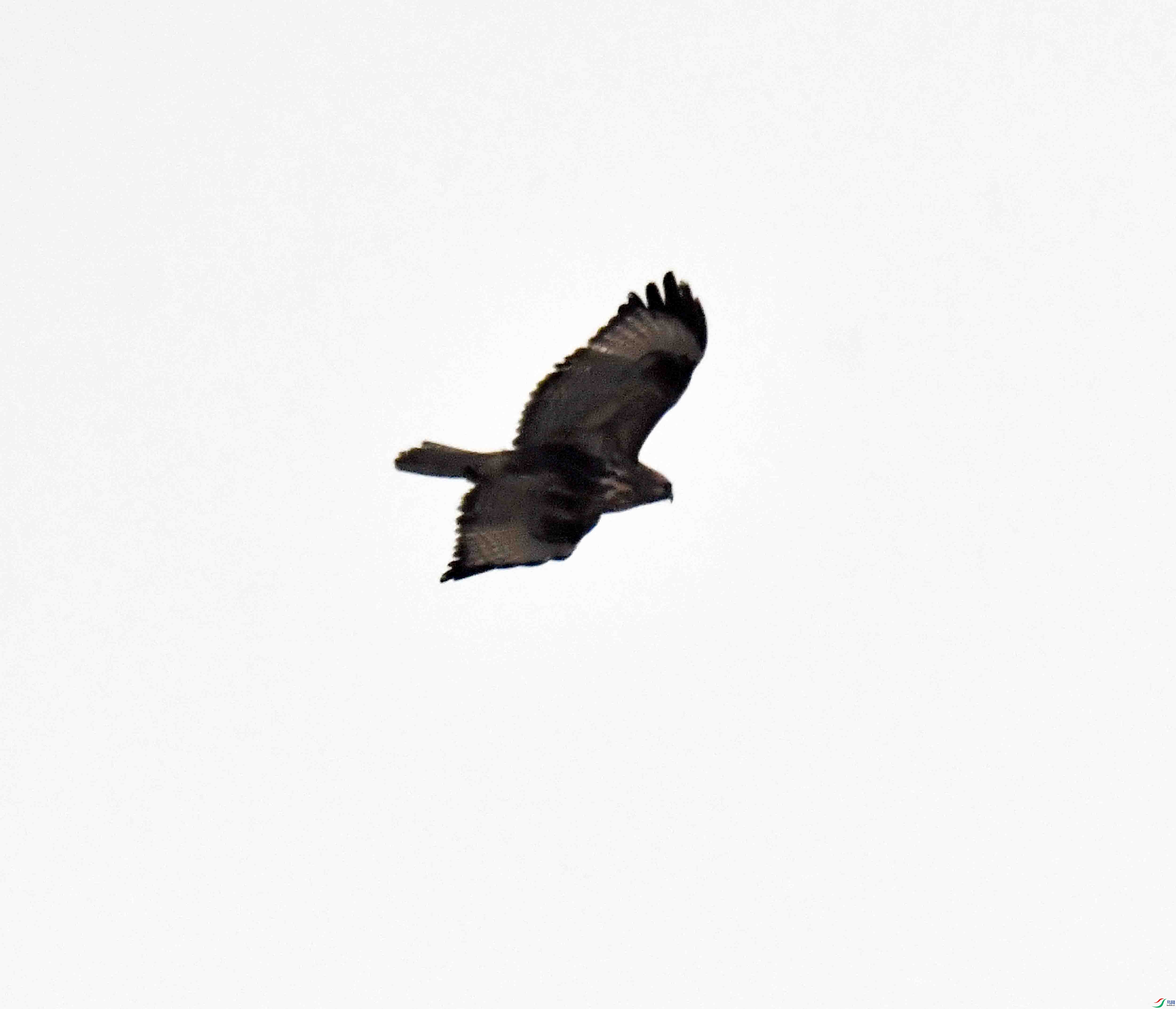 DSC_1747.JPG