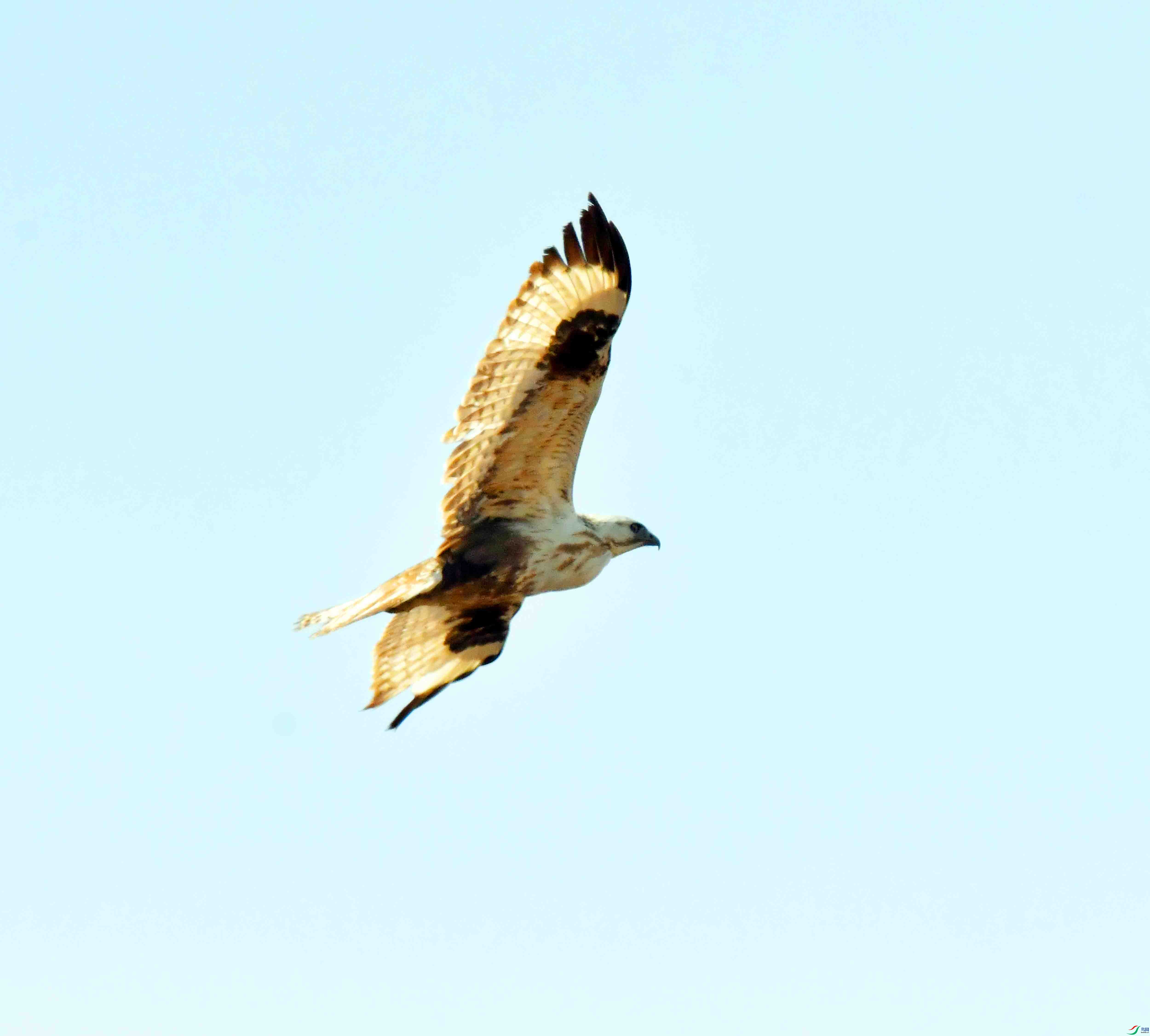 DSC_1759.JPG