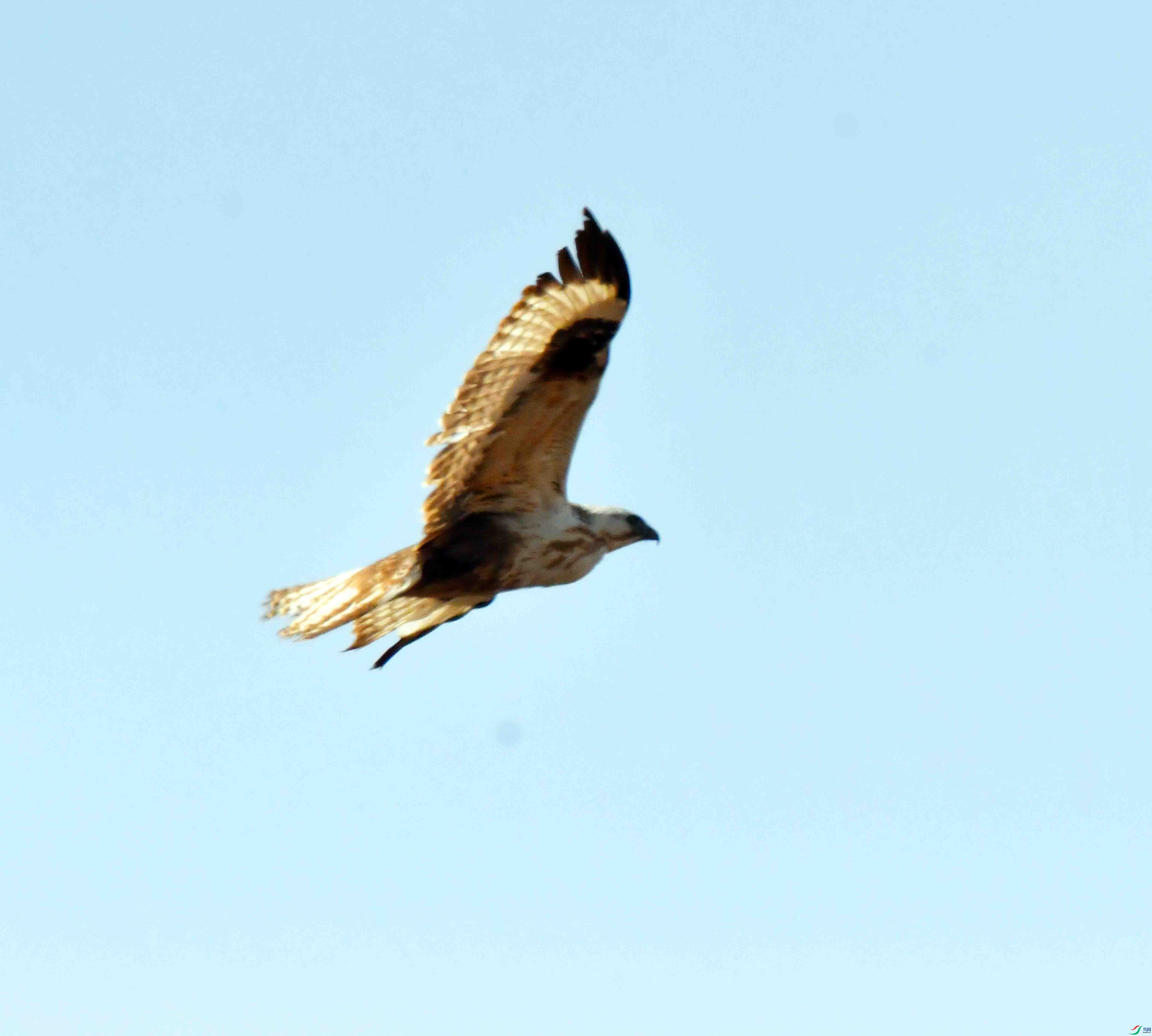 DSC_1758.JPG