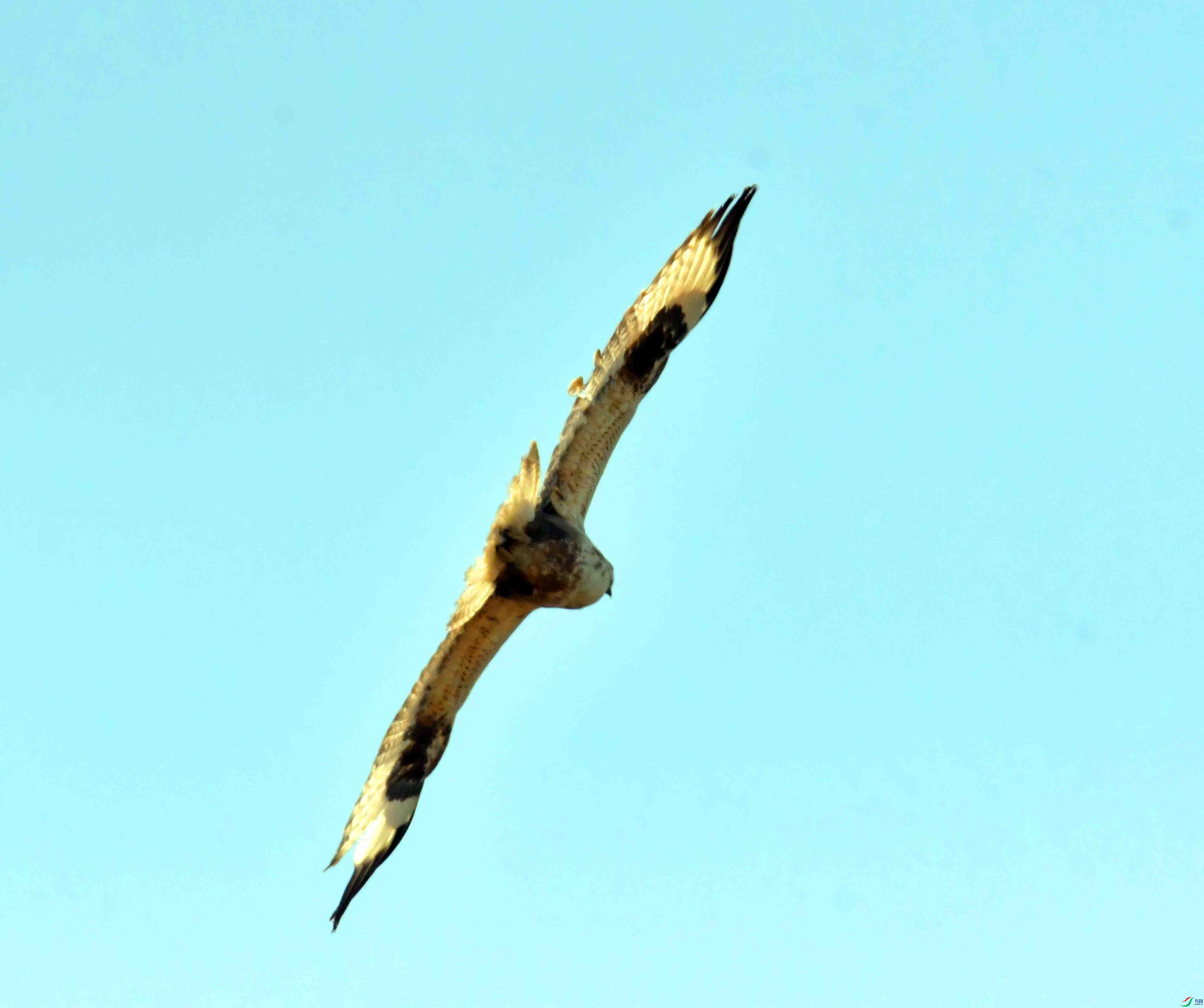 DSC_1761.JPG