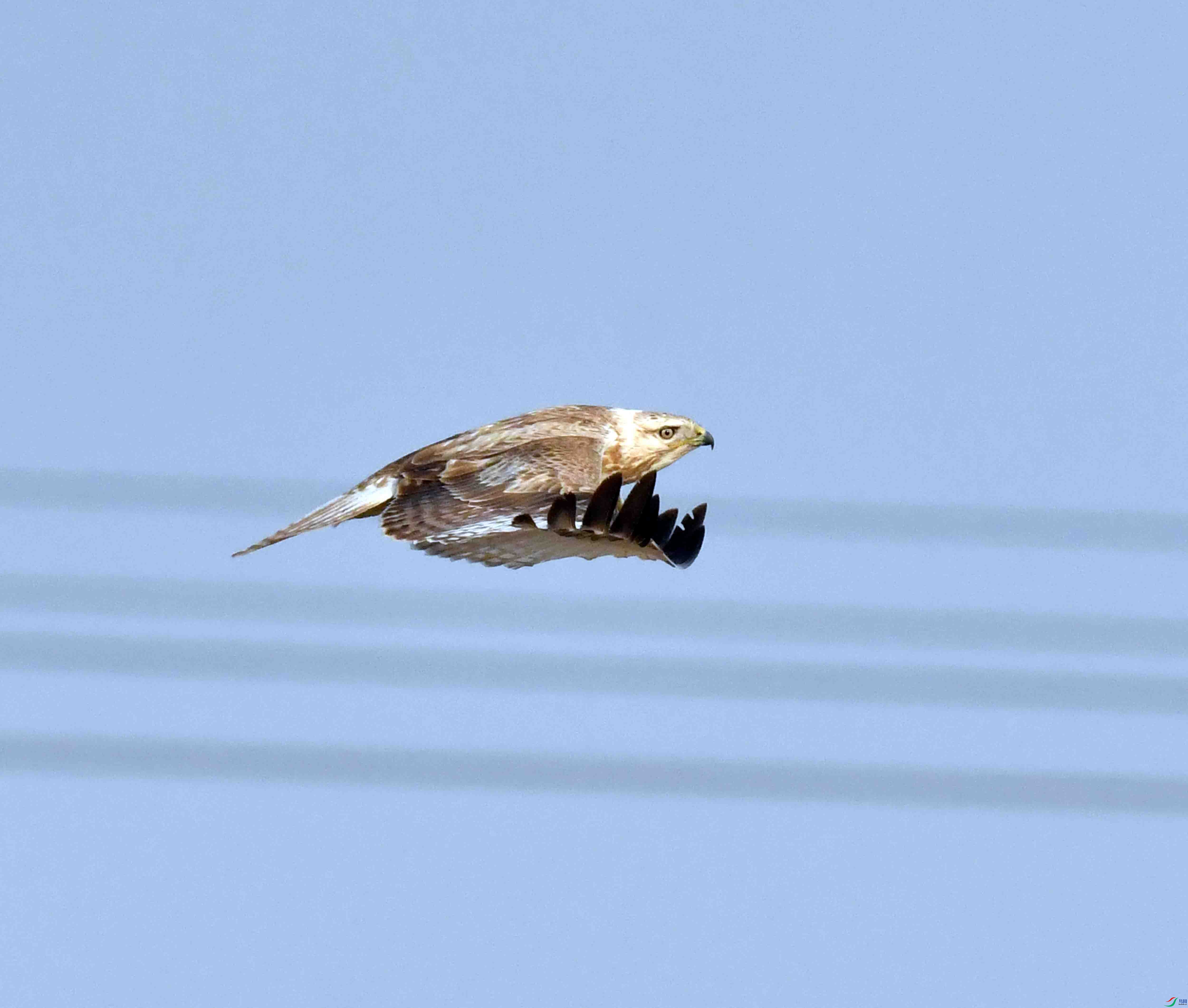 DSC_6192.JPG